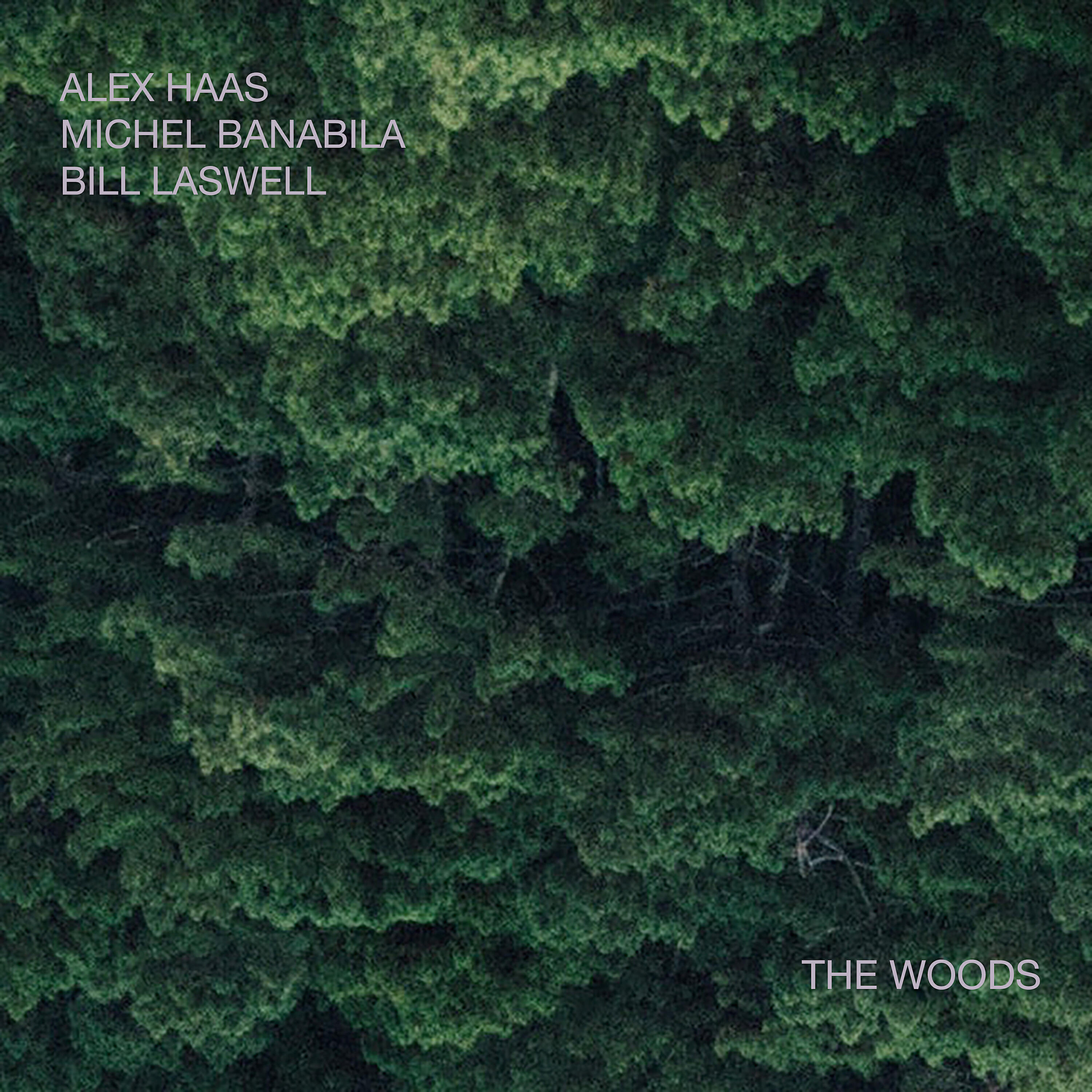 Релиз The Woods