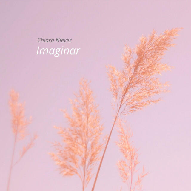 Релиз Imaginar