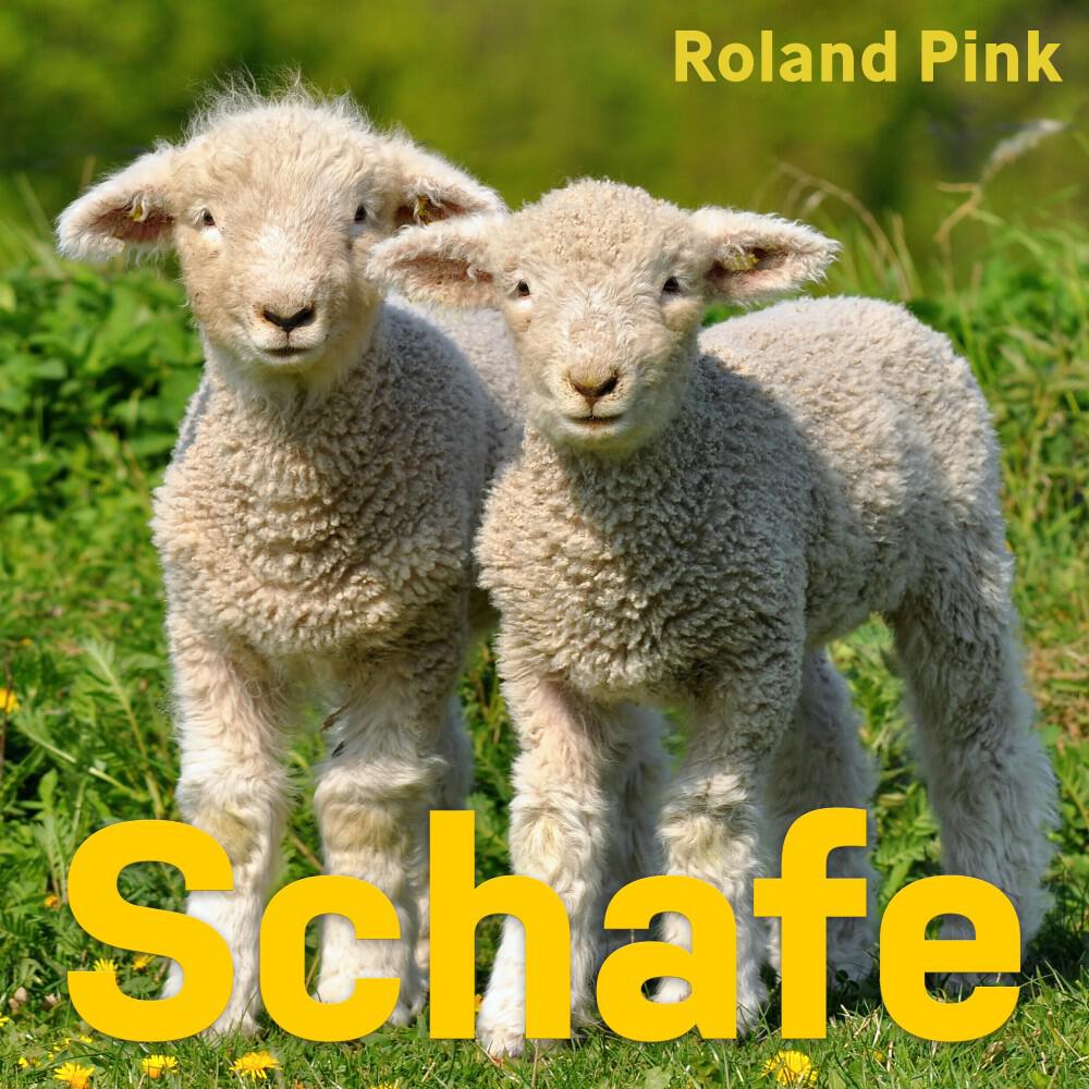 Релиз Schafe