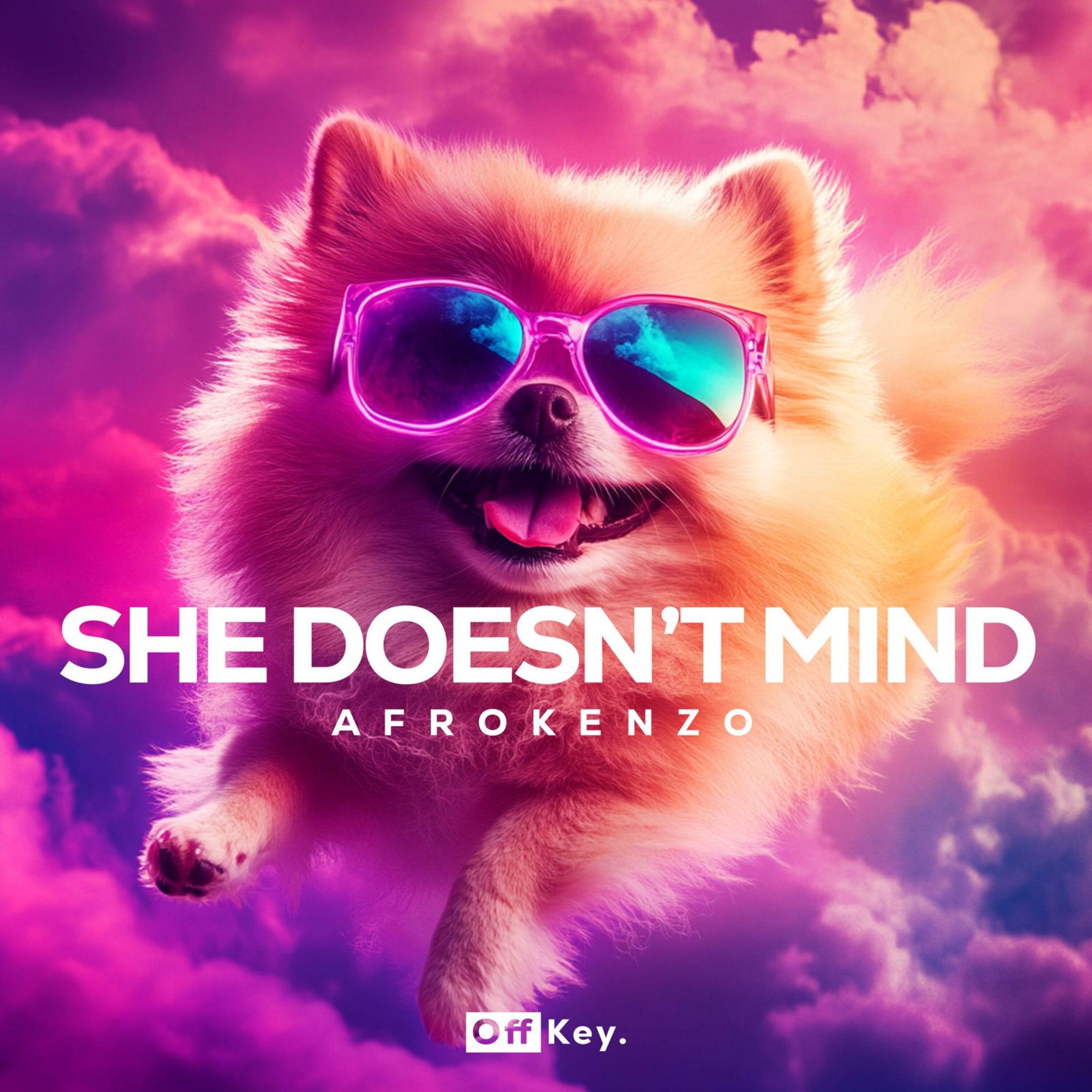 Релиз She Doesn't Mind (Afro House Version)