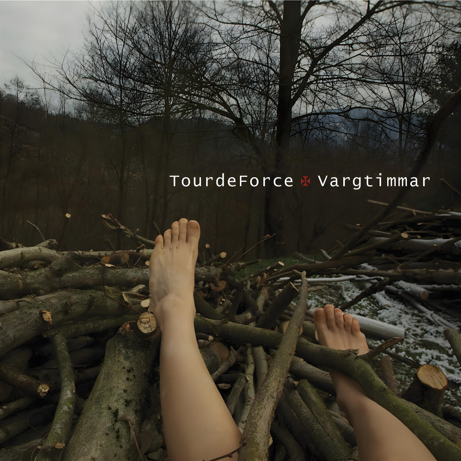 Релиз Vargtimmar