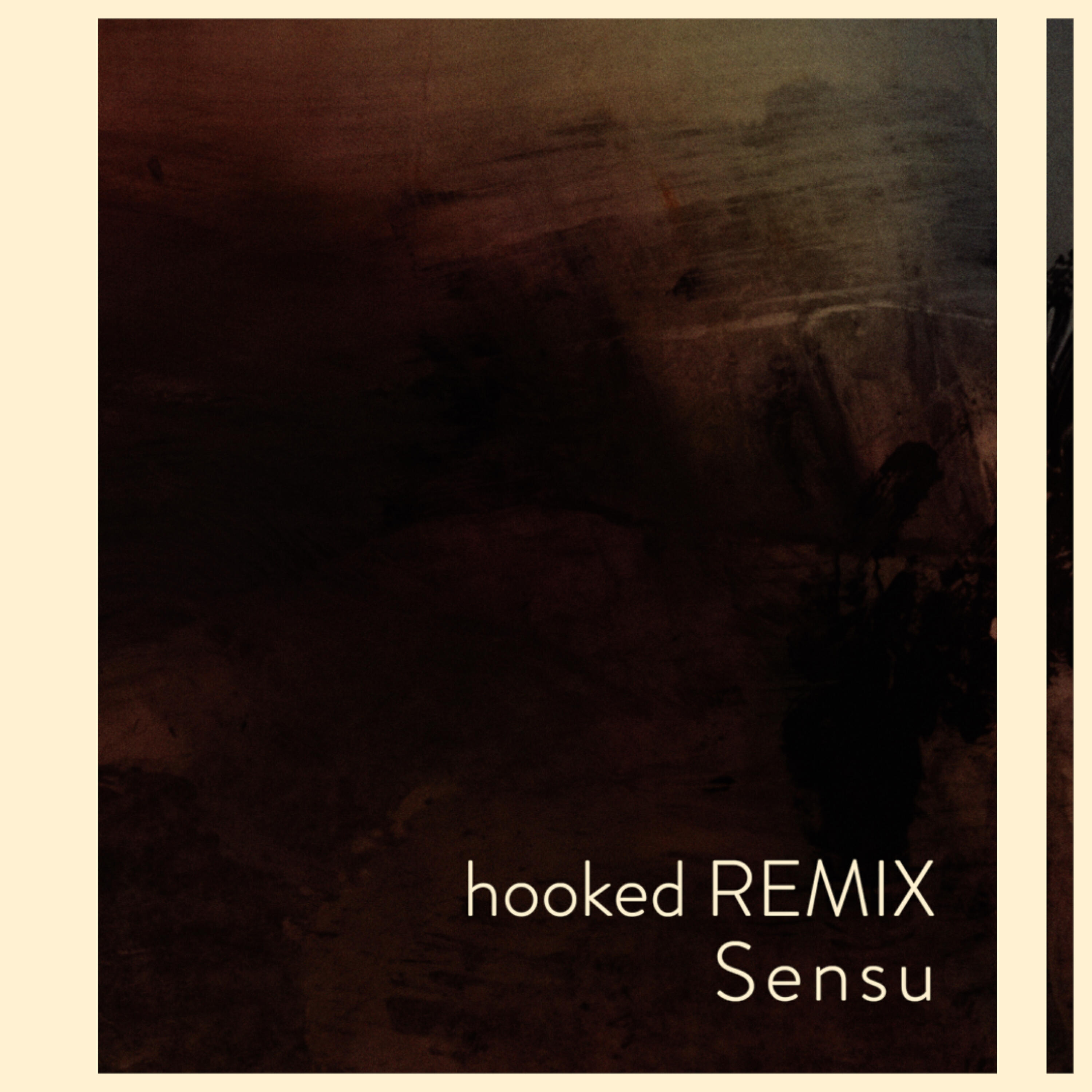 Постер альбома Hooked (Sensu Remix)
