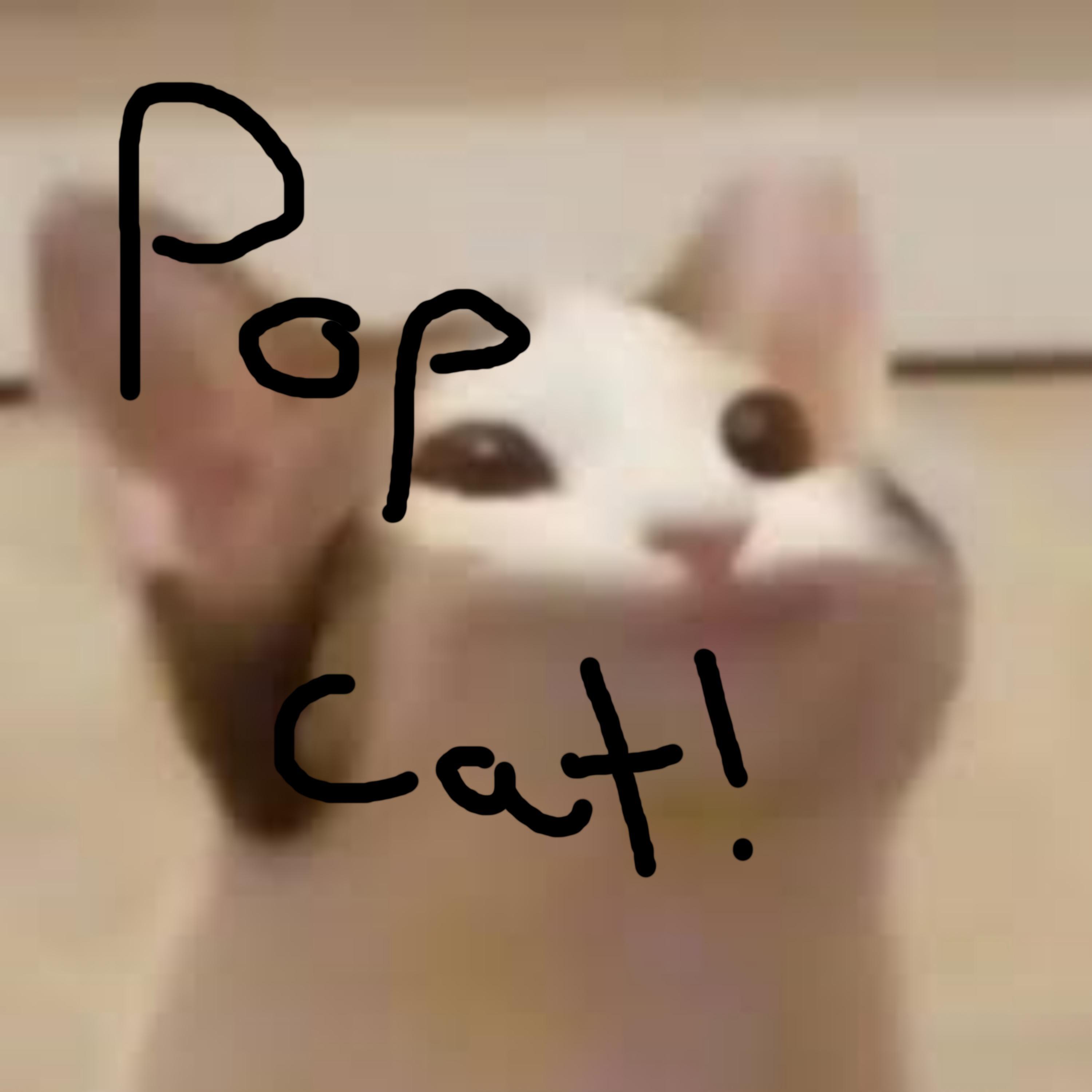 Релиз POP CAT!