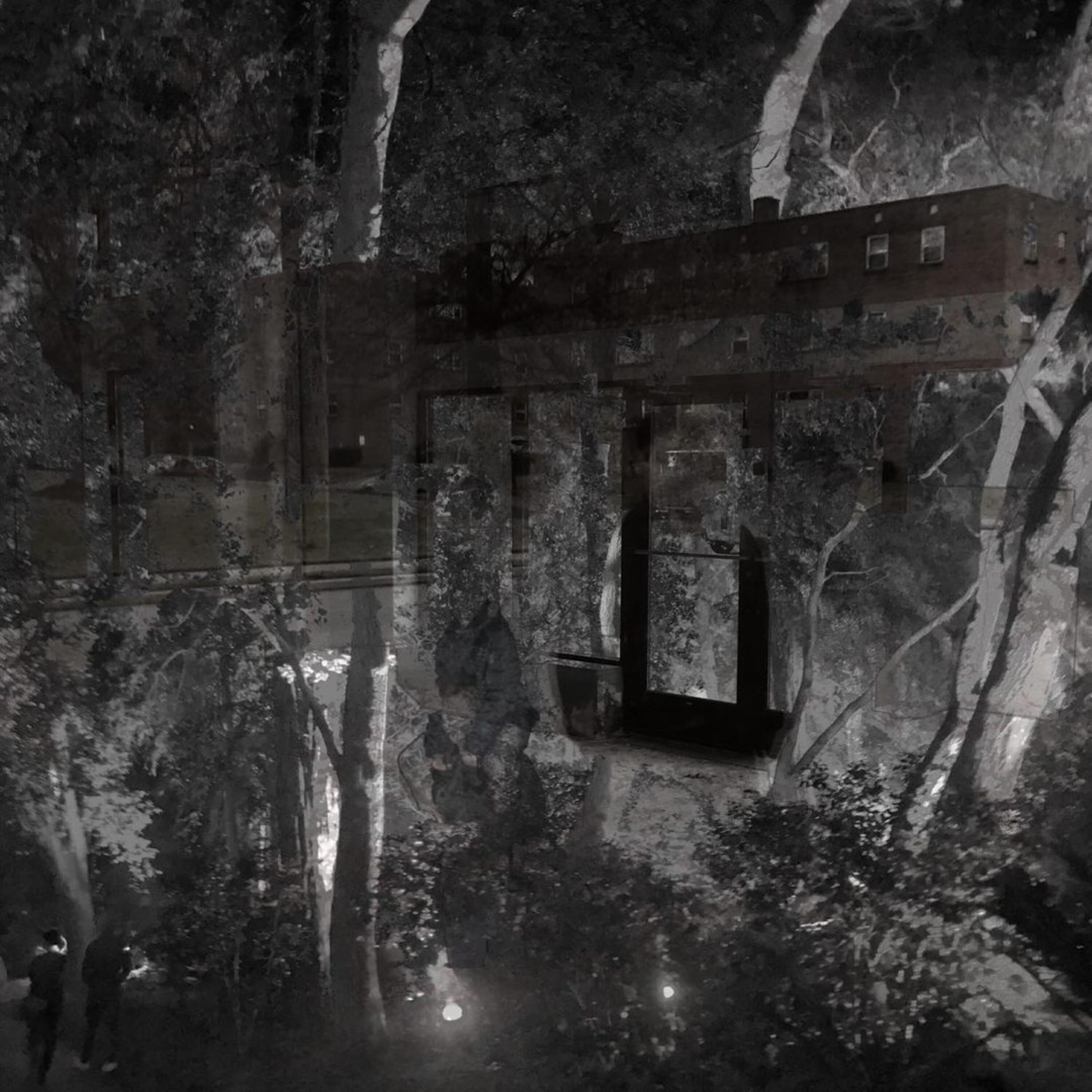 Релиз The Lives and Stipulations of the Weakened