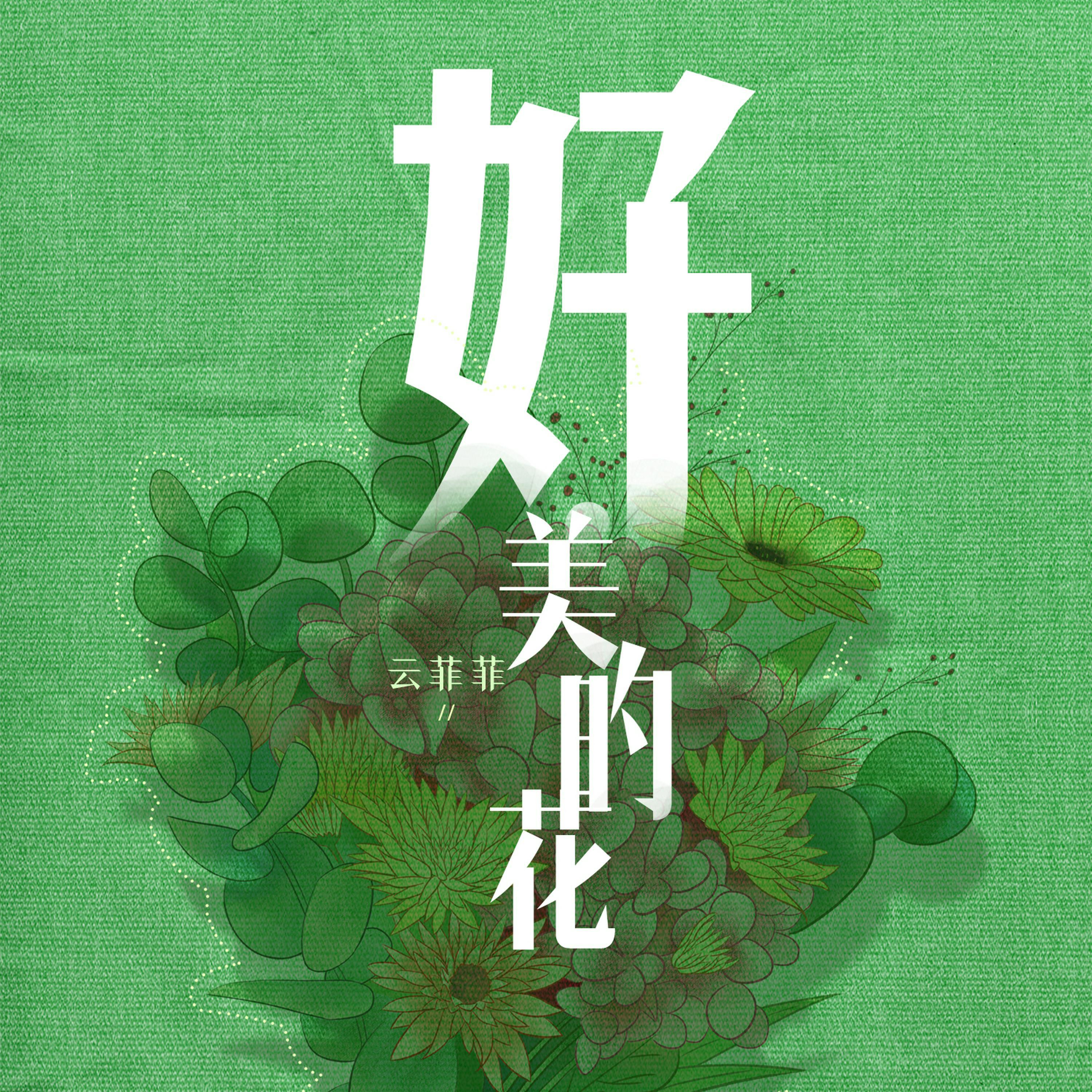 云菲菲