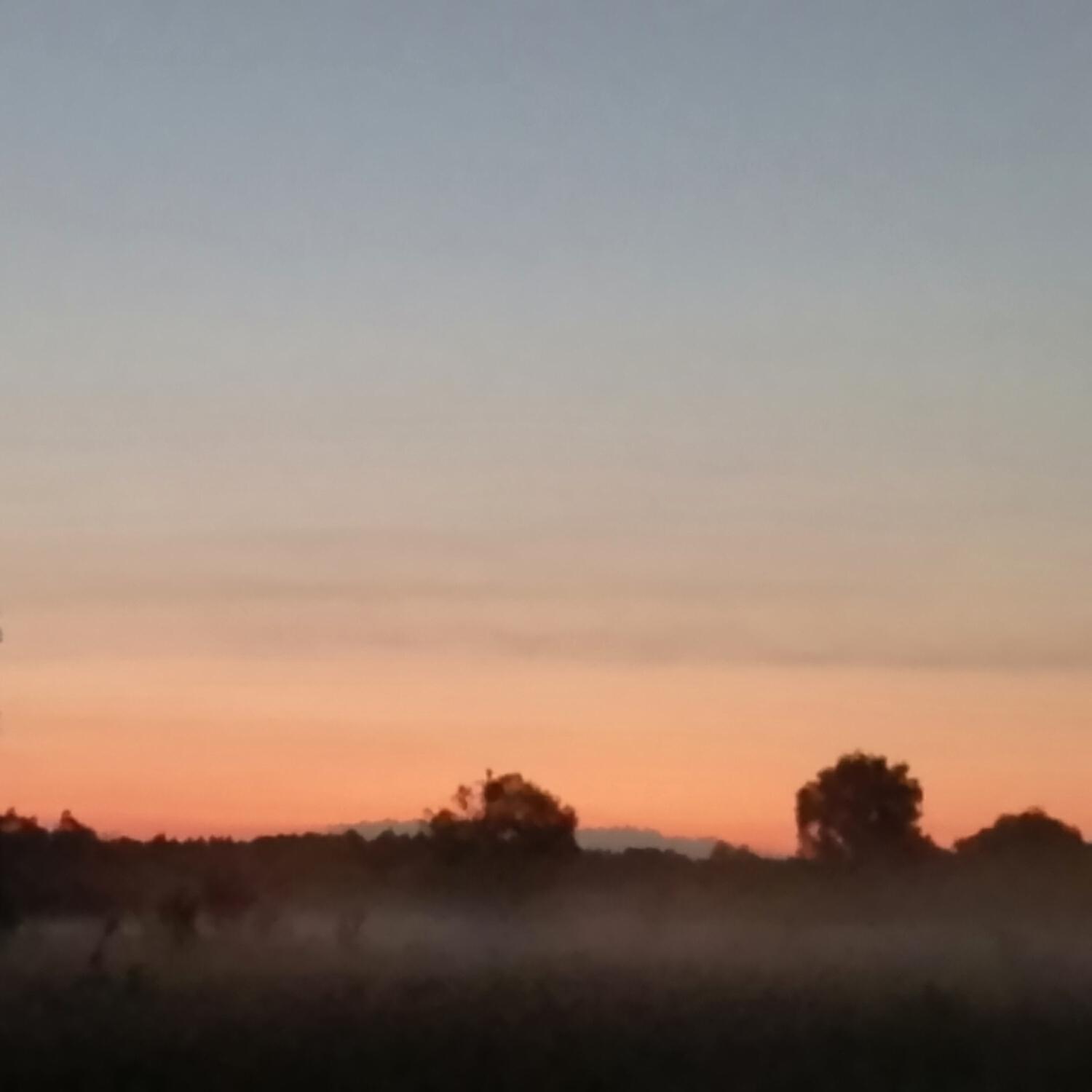 Слова забыли