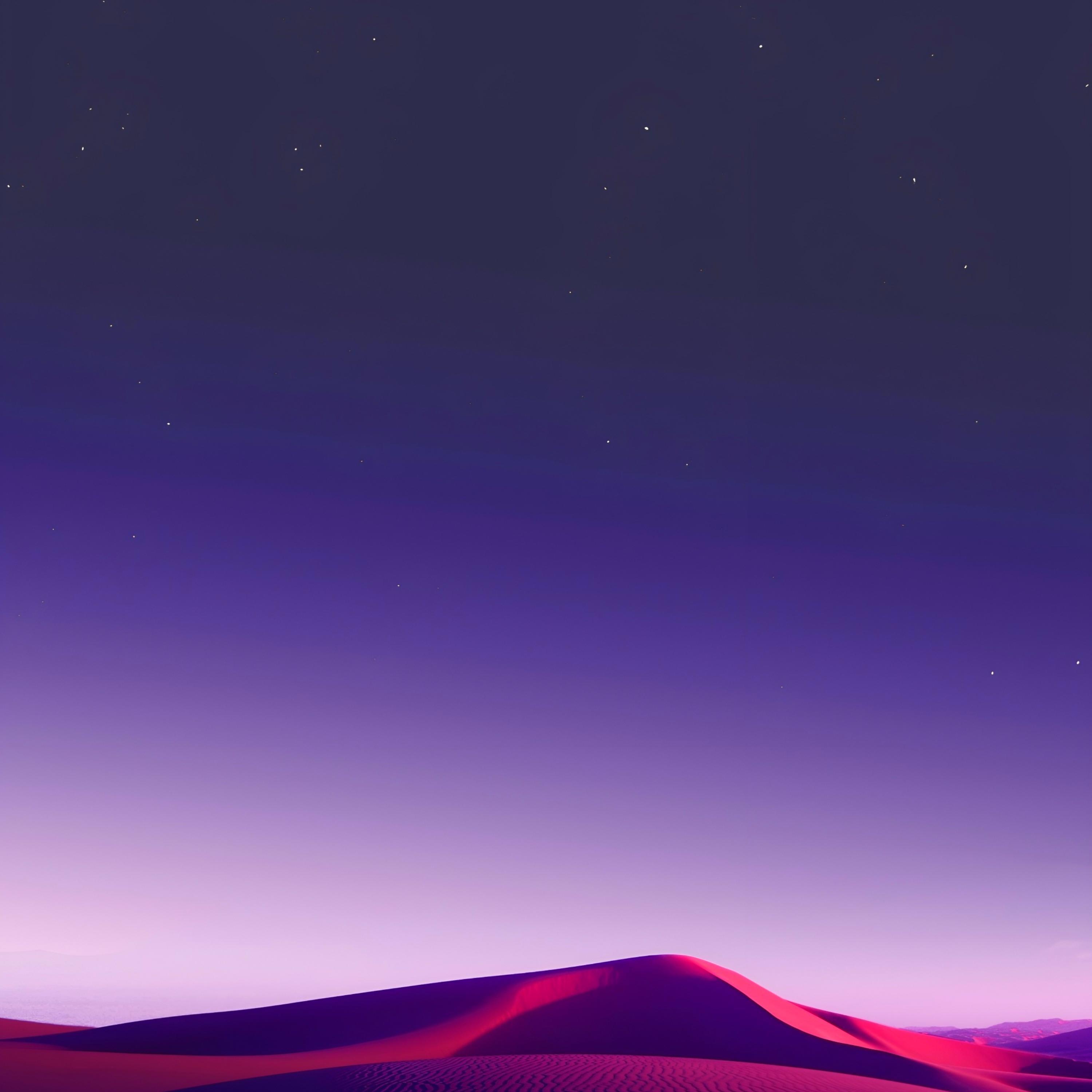 Релиз Next Day
