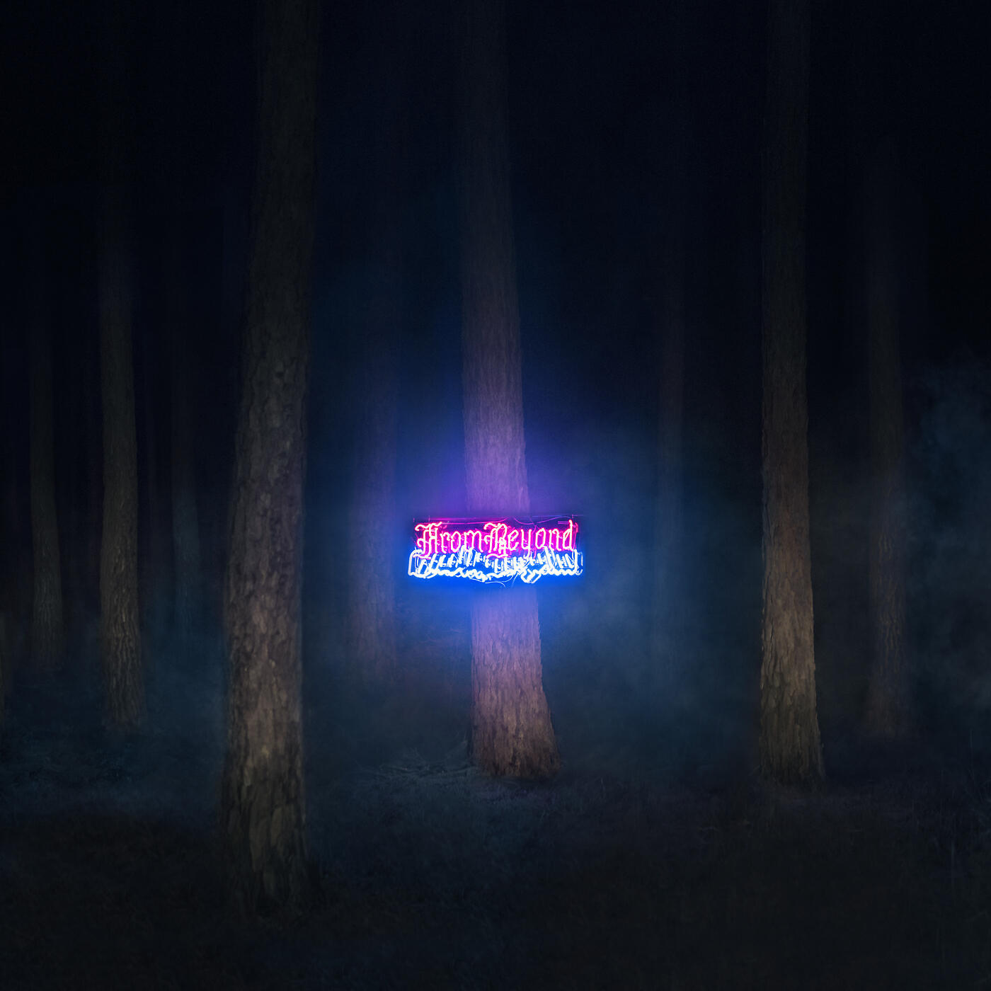 Релиз At Midnight