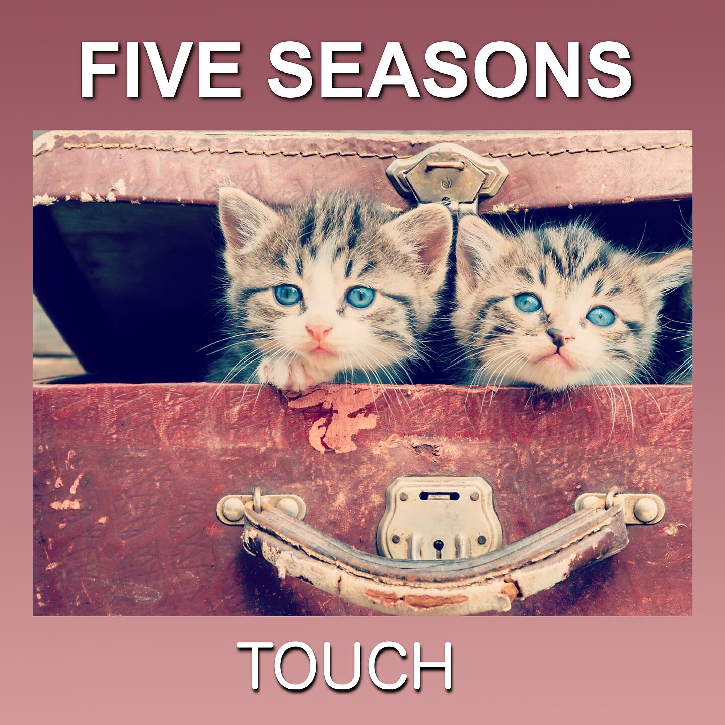 Релиз Touch