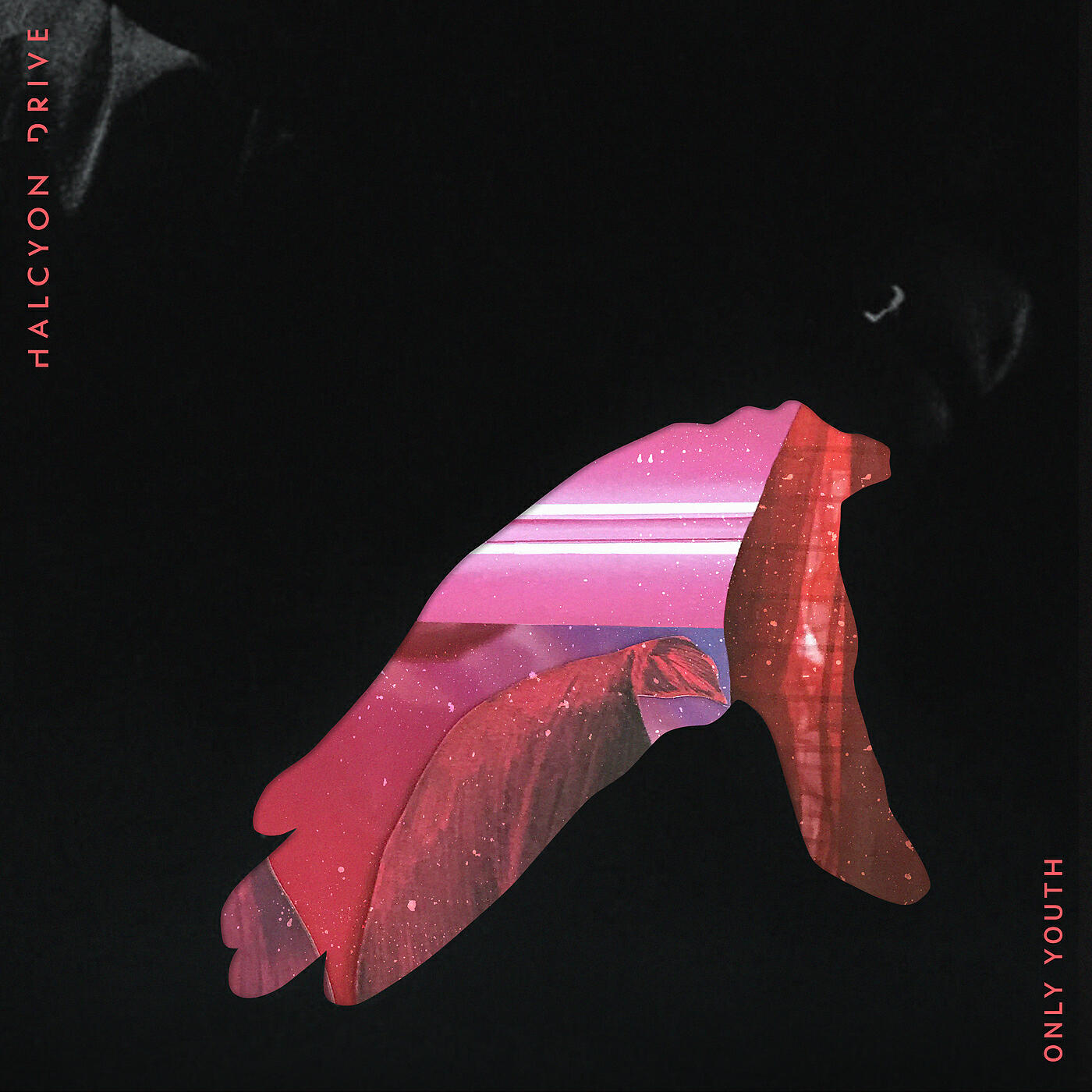 Релиз Only Youth