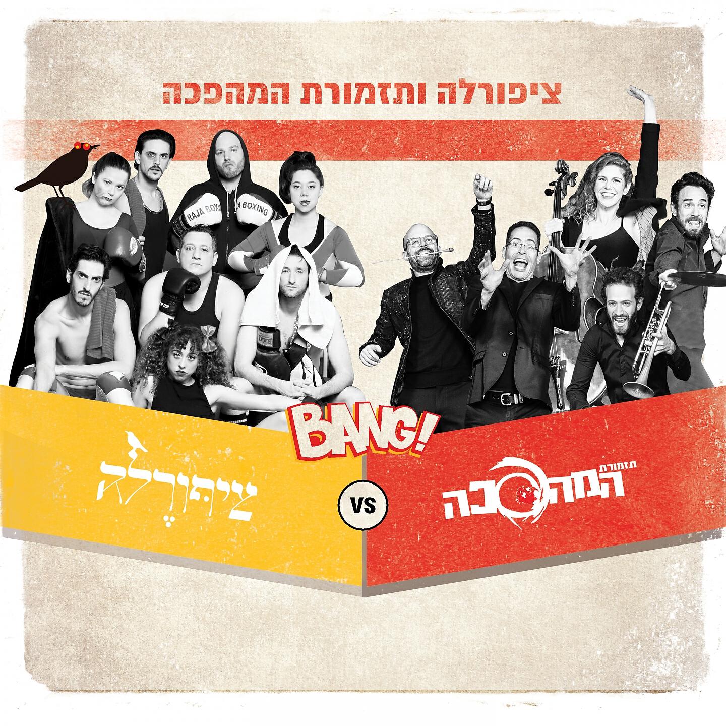 אנסמבל ציפורלה