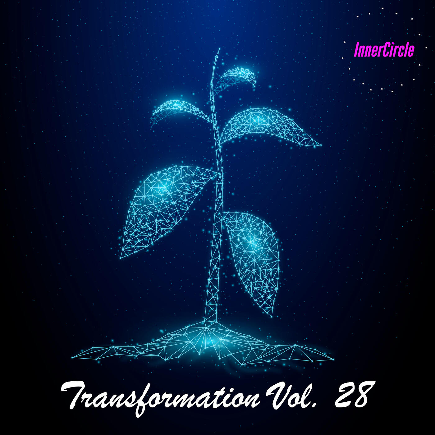 Релиз Transformation, Vol. 28