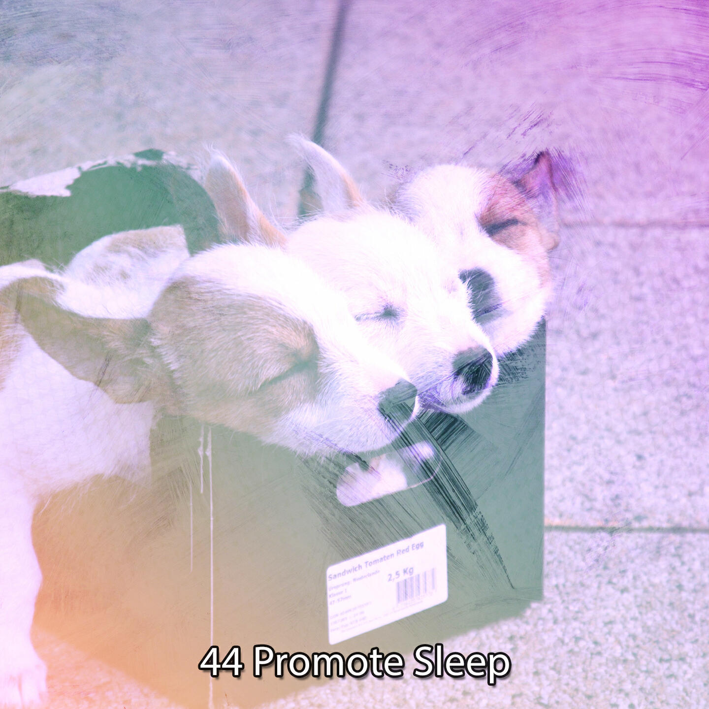 Релиз 44 Promote Sleep