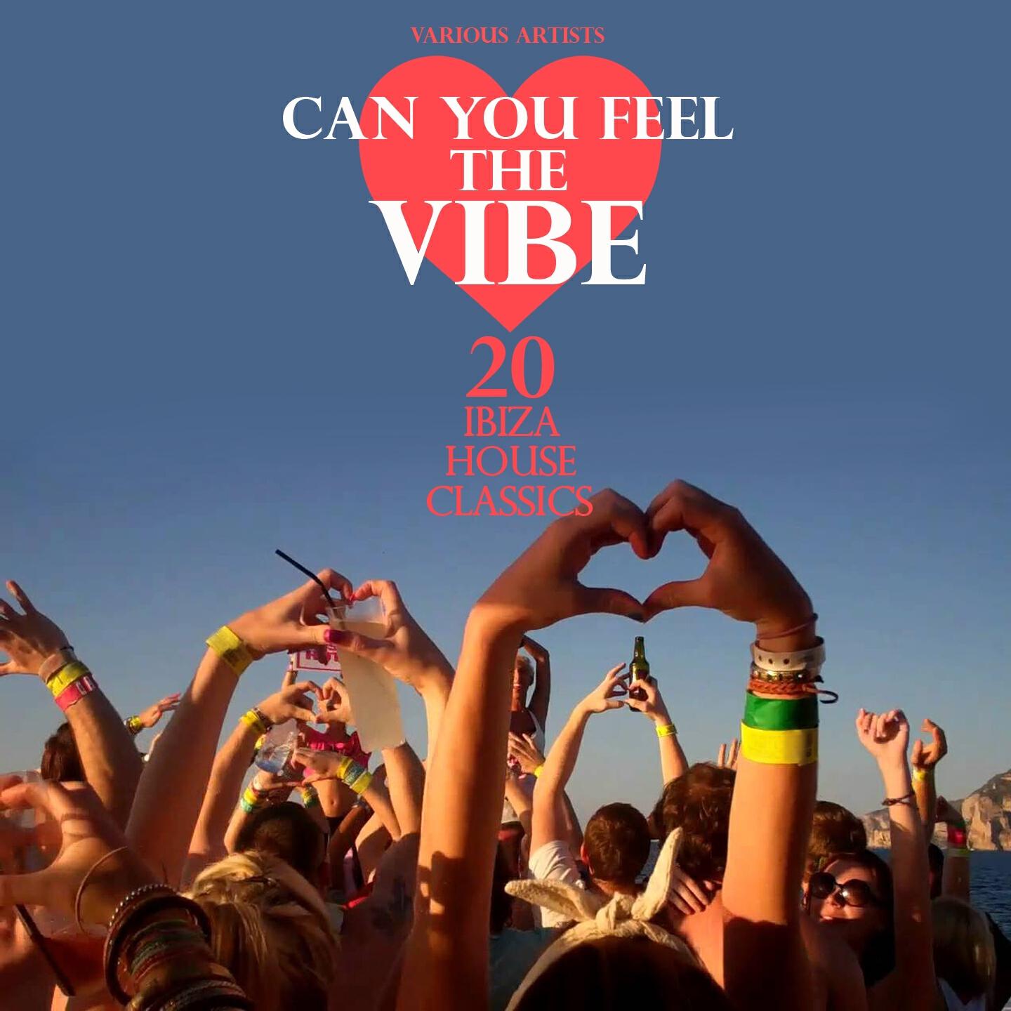Релиз Can You Feel the Vibe (20 Ibiza House Classics)