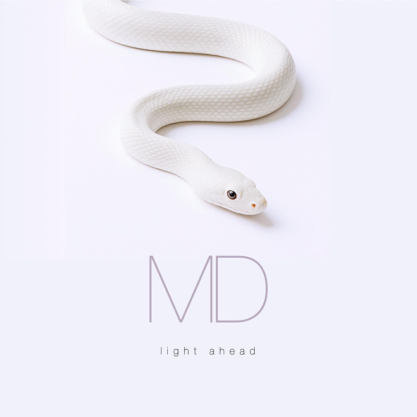 Релиз Light Ahead
