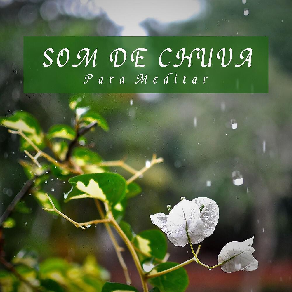 Релиз Som de Chuva para Meditar