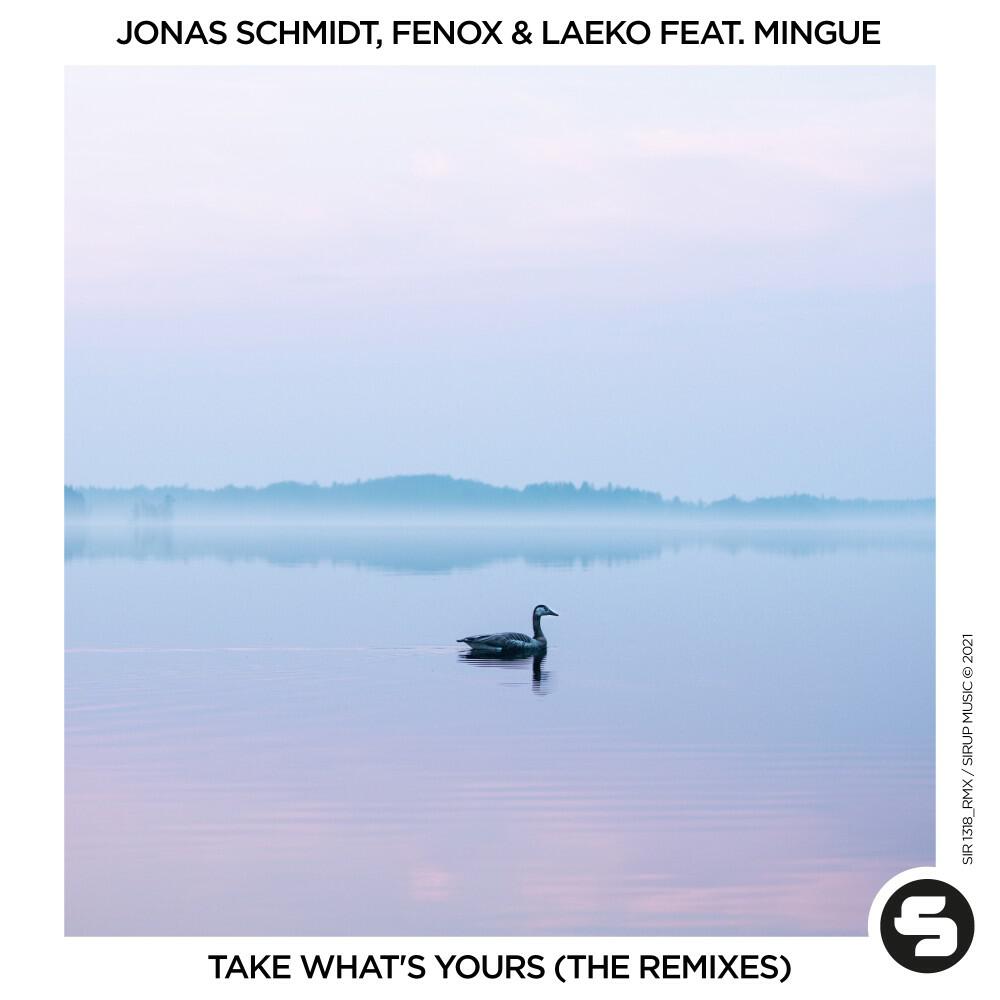 Релиз Take What's Yours (The Remixes)