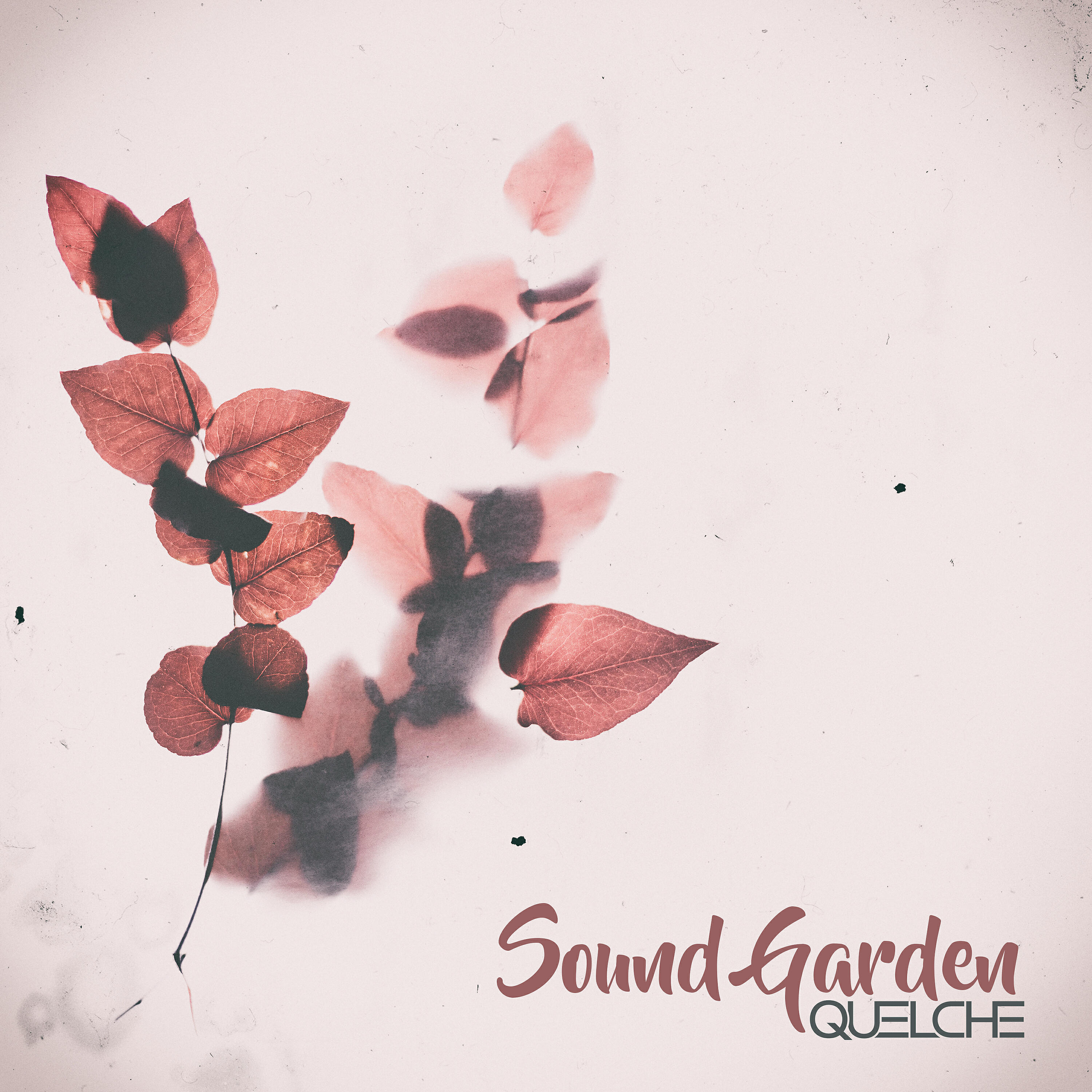 Релиз Sound Garden