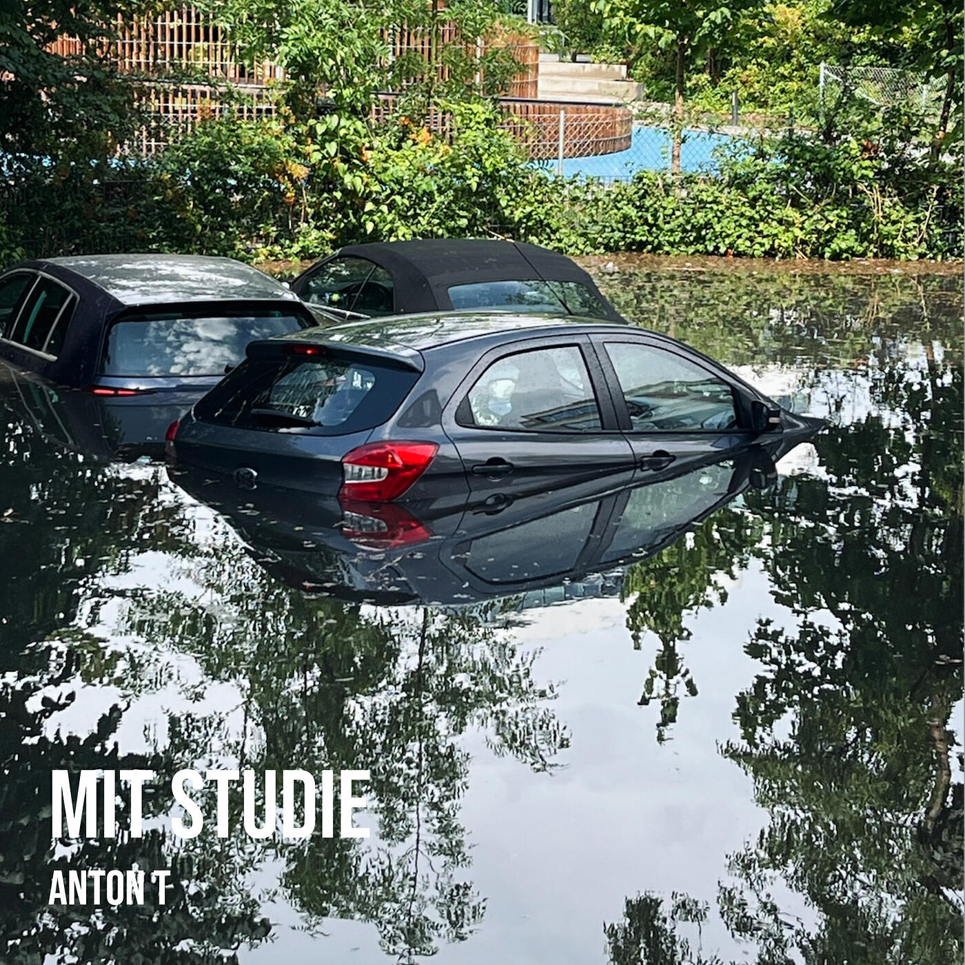 Релиз Mit Studie