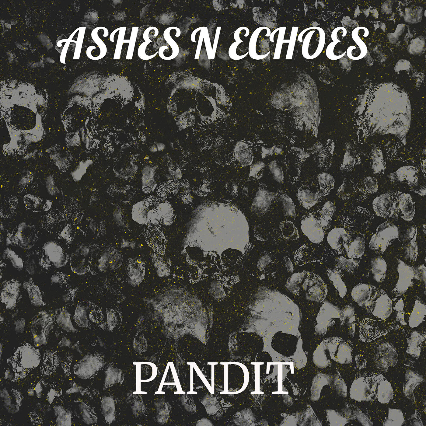Релиз Ashes n Echoes