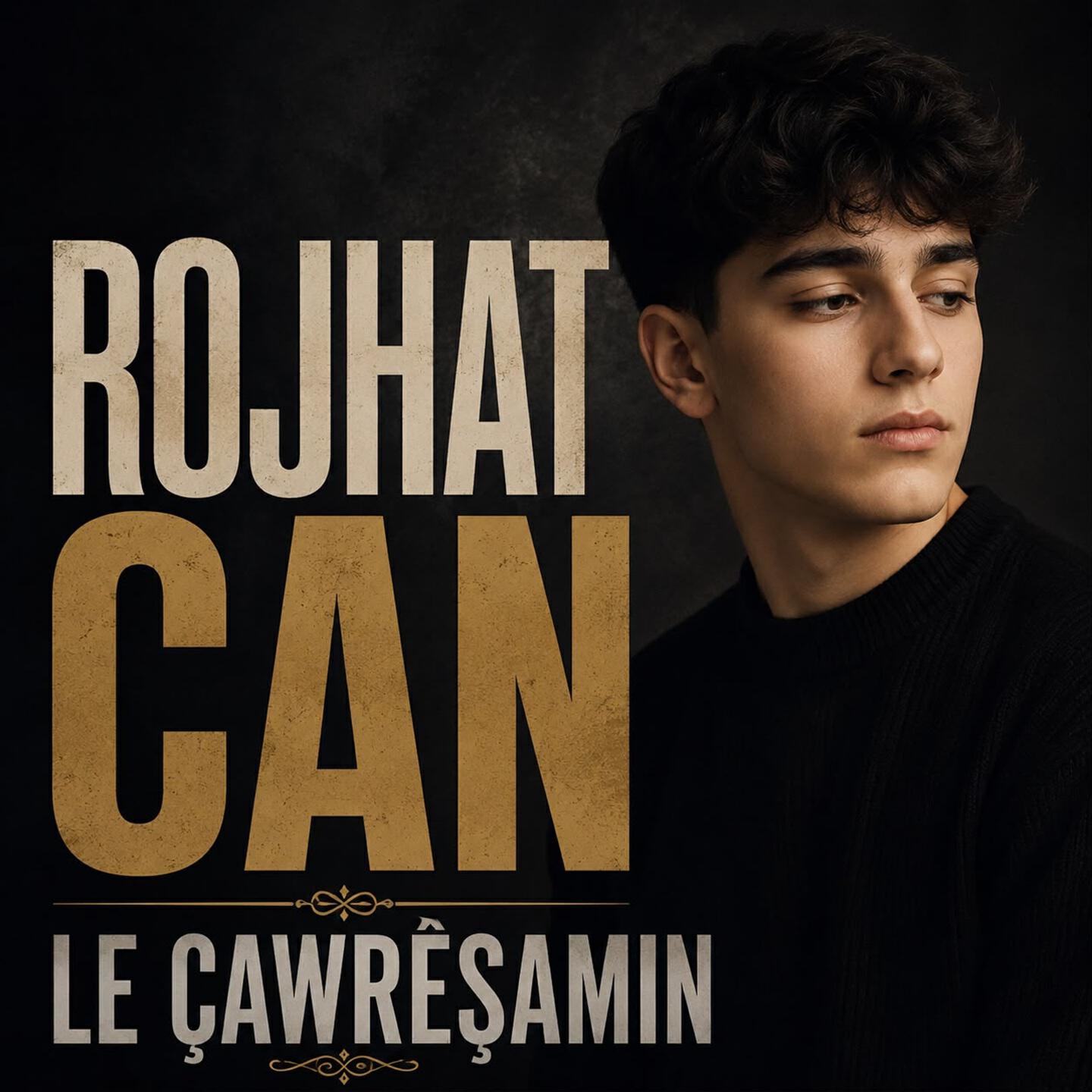 Релиз Le Çawreşamın