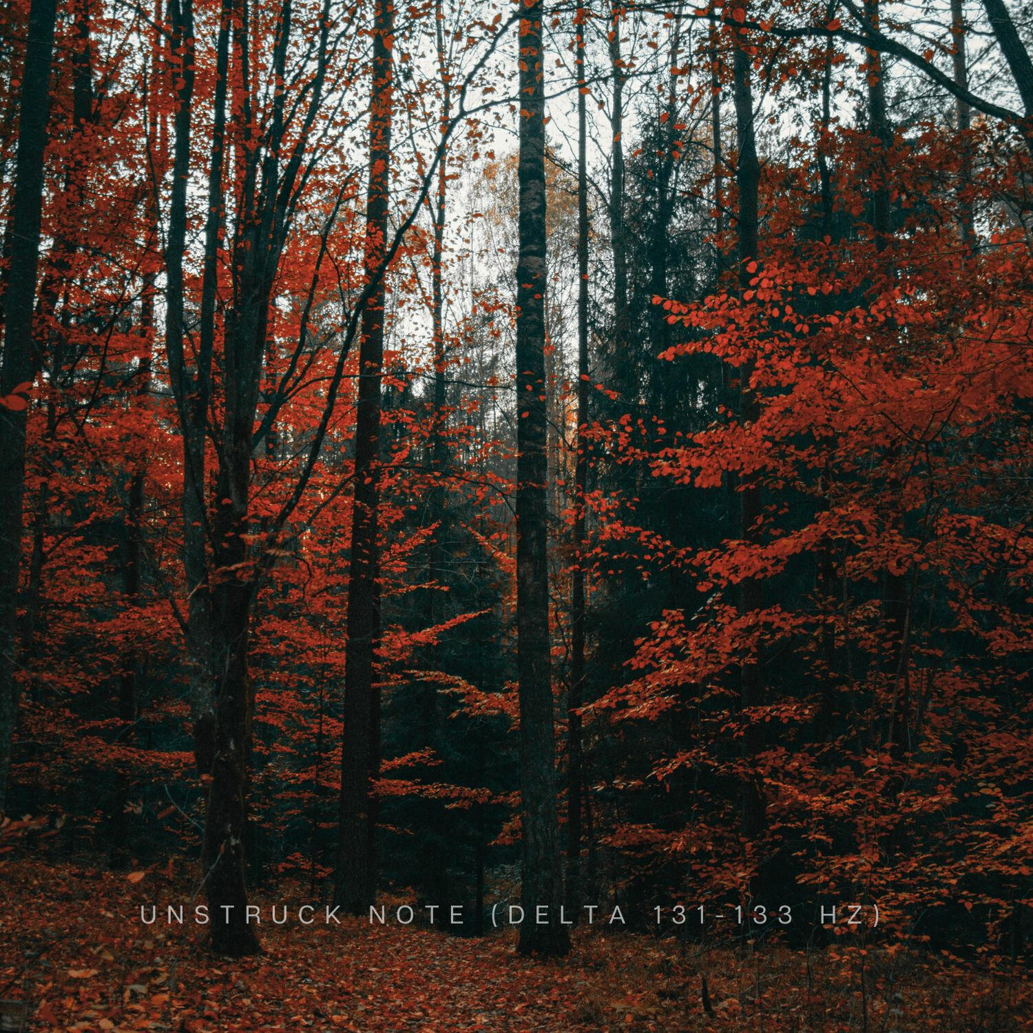 Binaural Delta Sleep