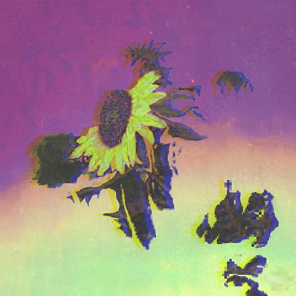 Постер альбома dry flower