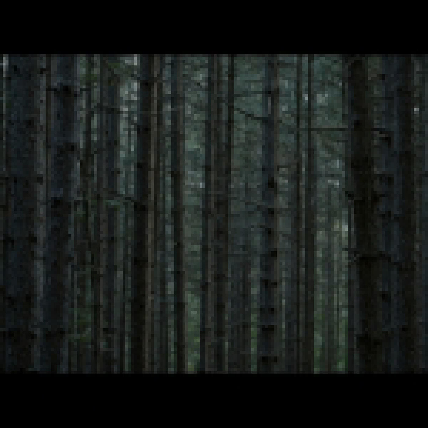 Релиз House in the Forest