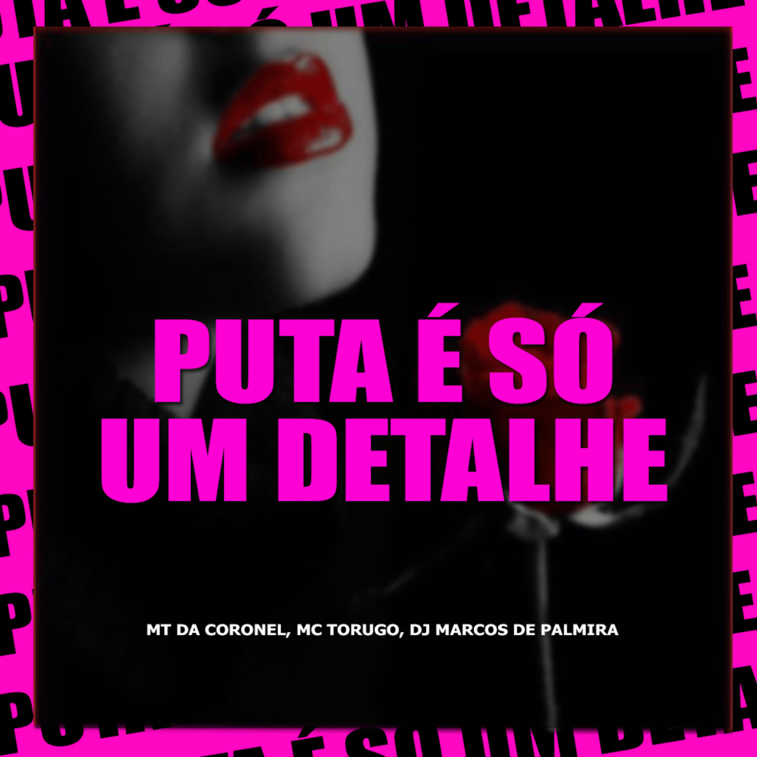 Релиз Puta é Só um detalhe ( Remix de Arrochadeira )