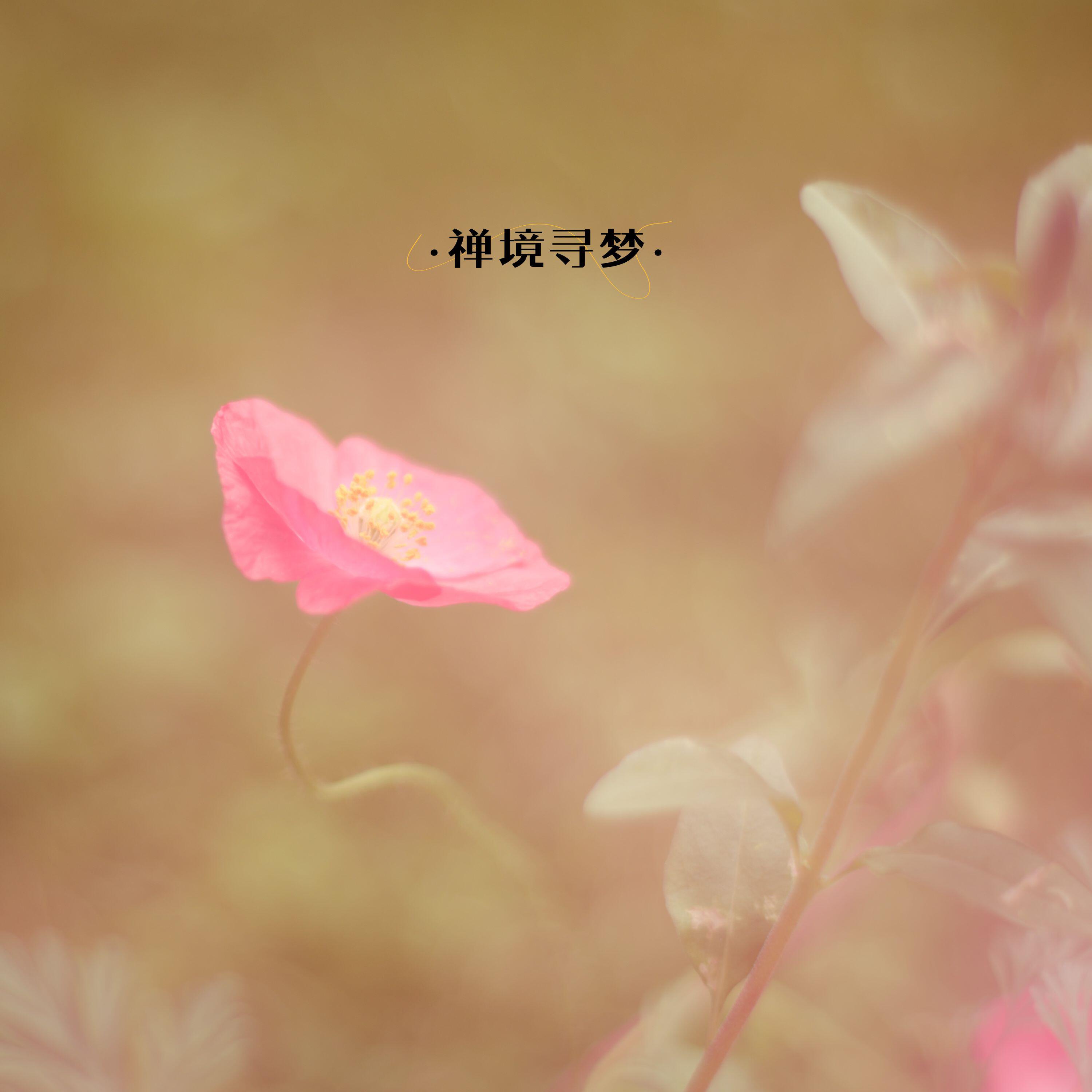 Релиз 禅境寻梦