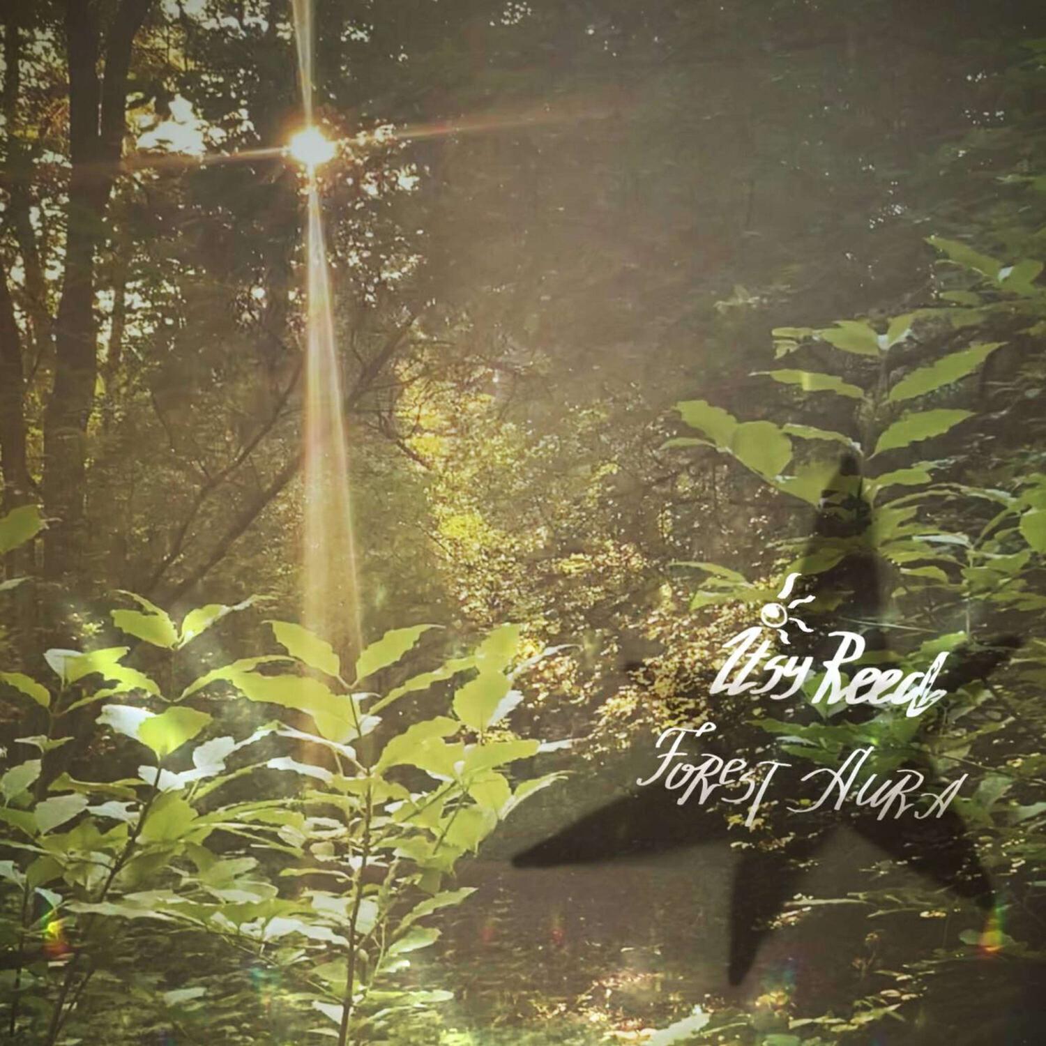 Релиз Forest Aura