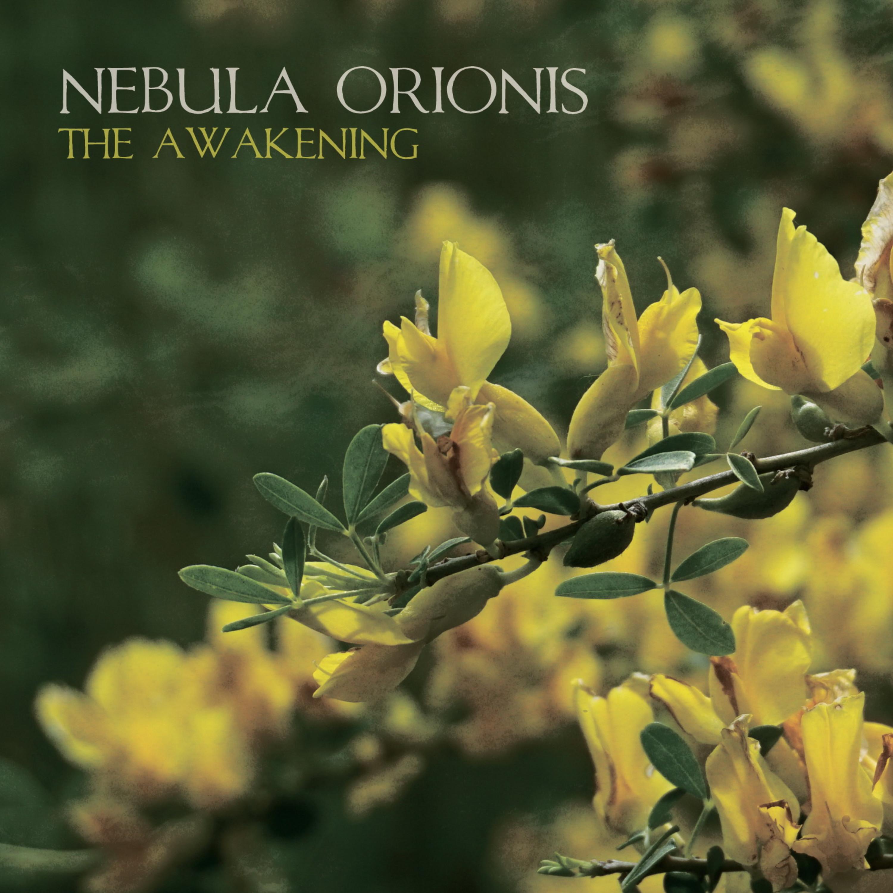 Релиз The Awakening