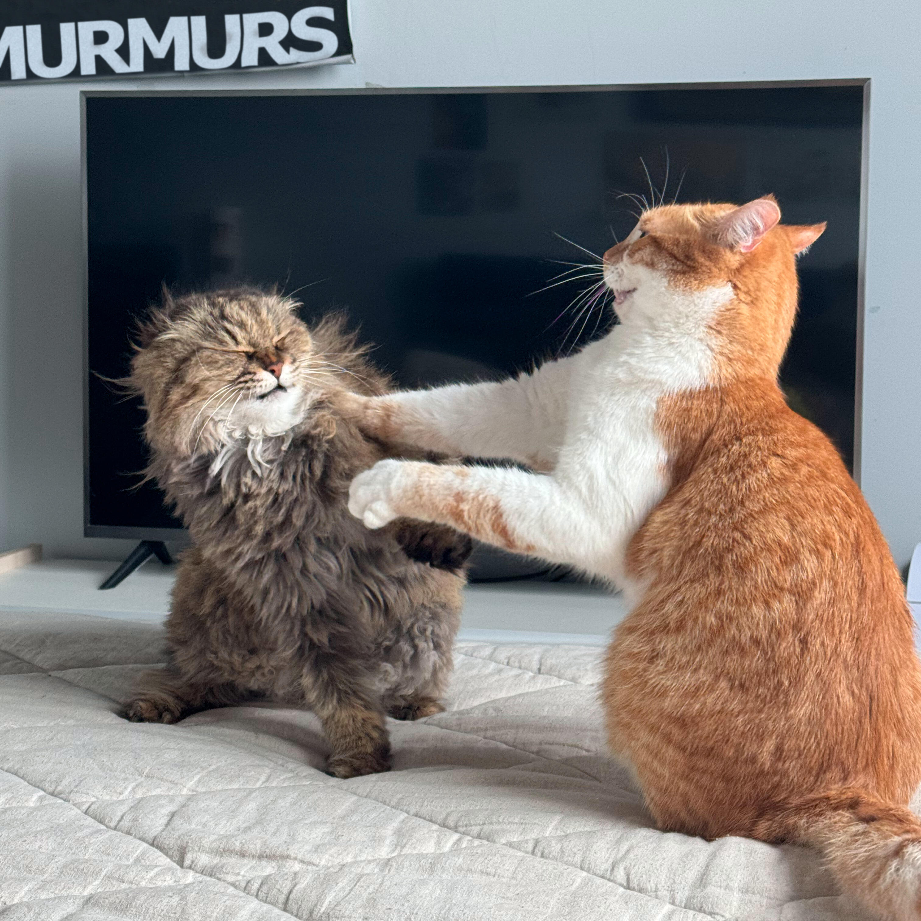Релиз Murmurs