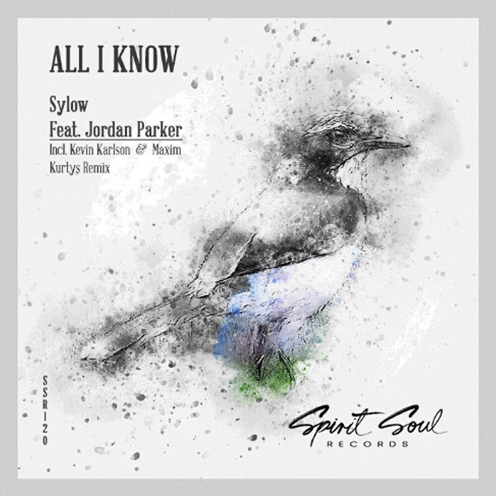 Скачать песню Sylow, Jordan Parker - All I Know (Radio Mix) бесплатно в MP3 для Android и iOS