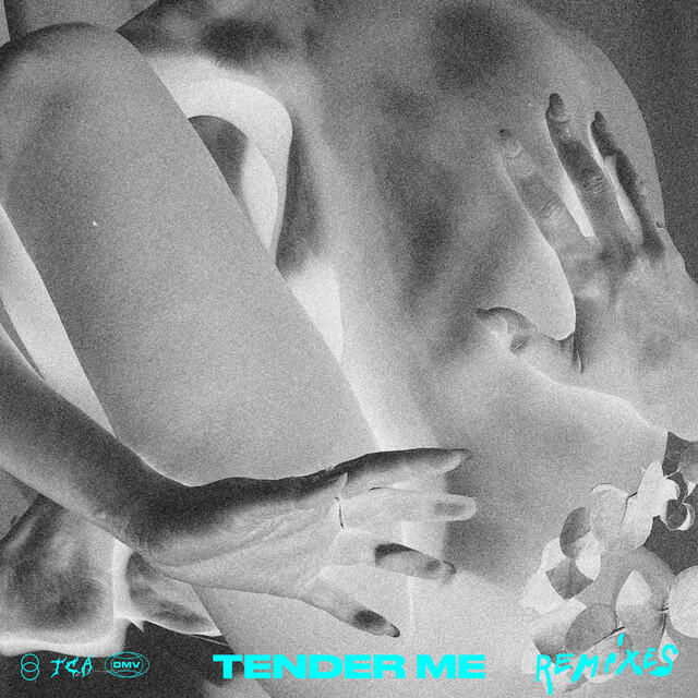 Релиз Tender Me (REMIXES)
