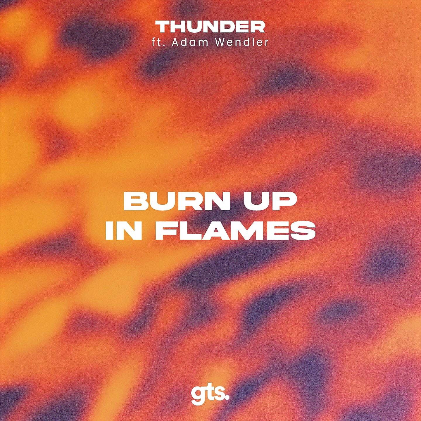 Релиз Burn up in Flames