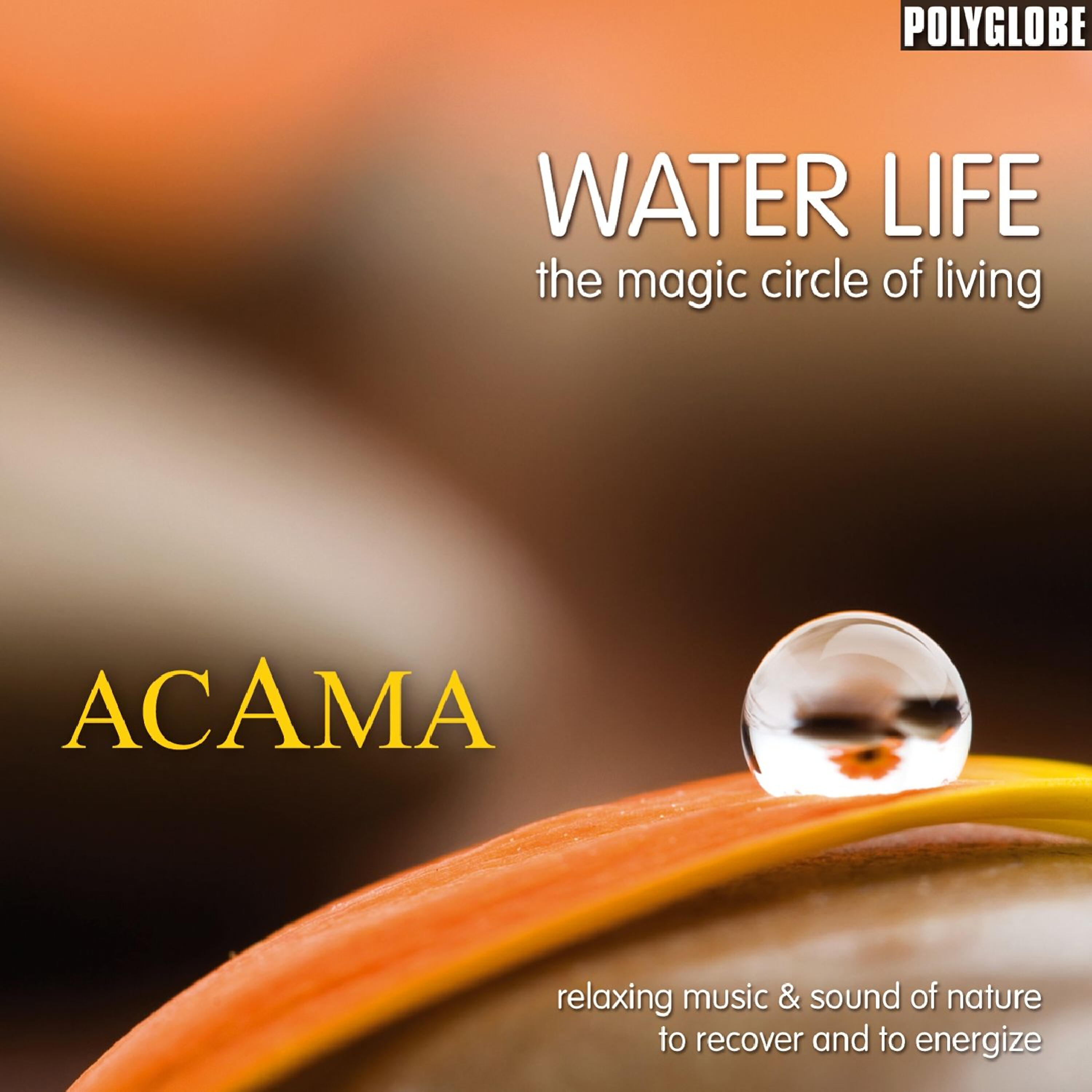 Релиз Water Life