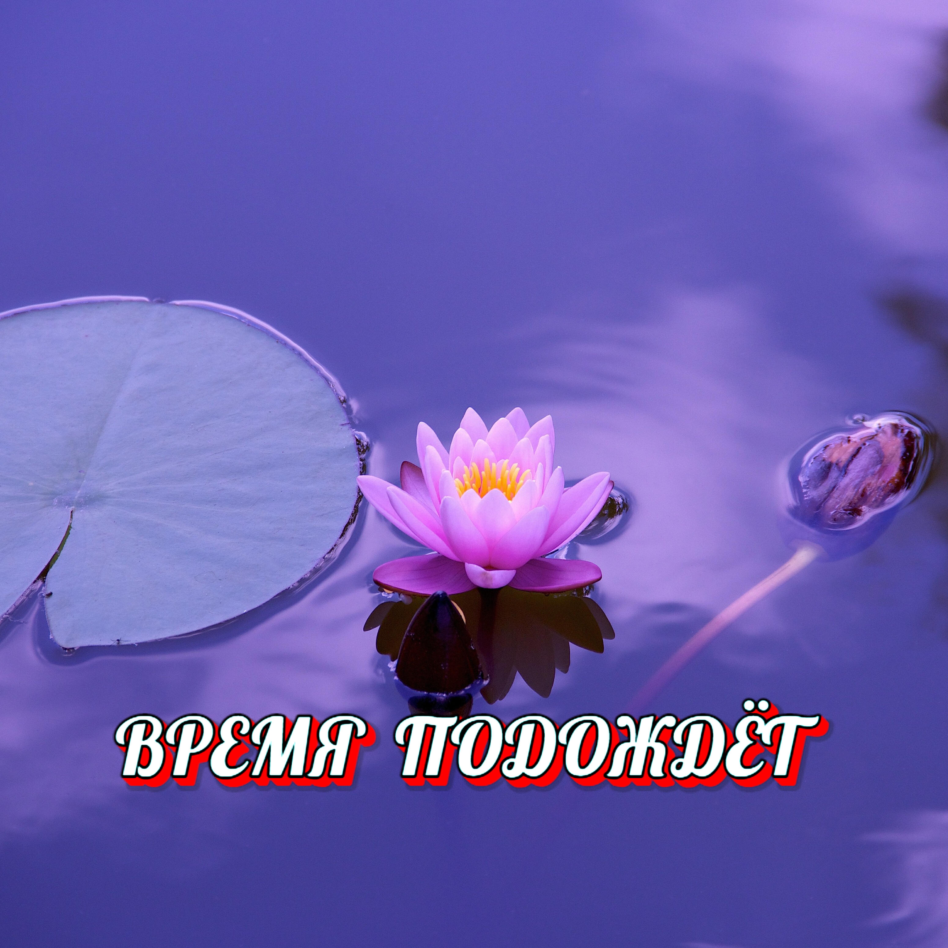 Релиз Время подождёт