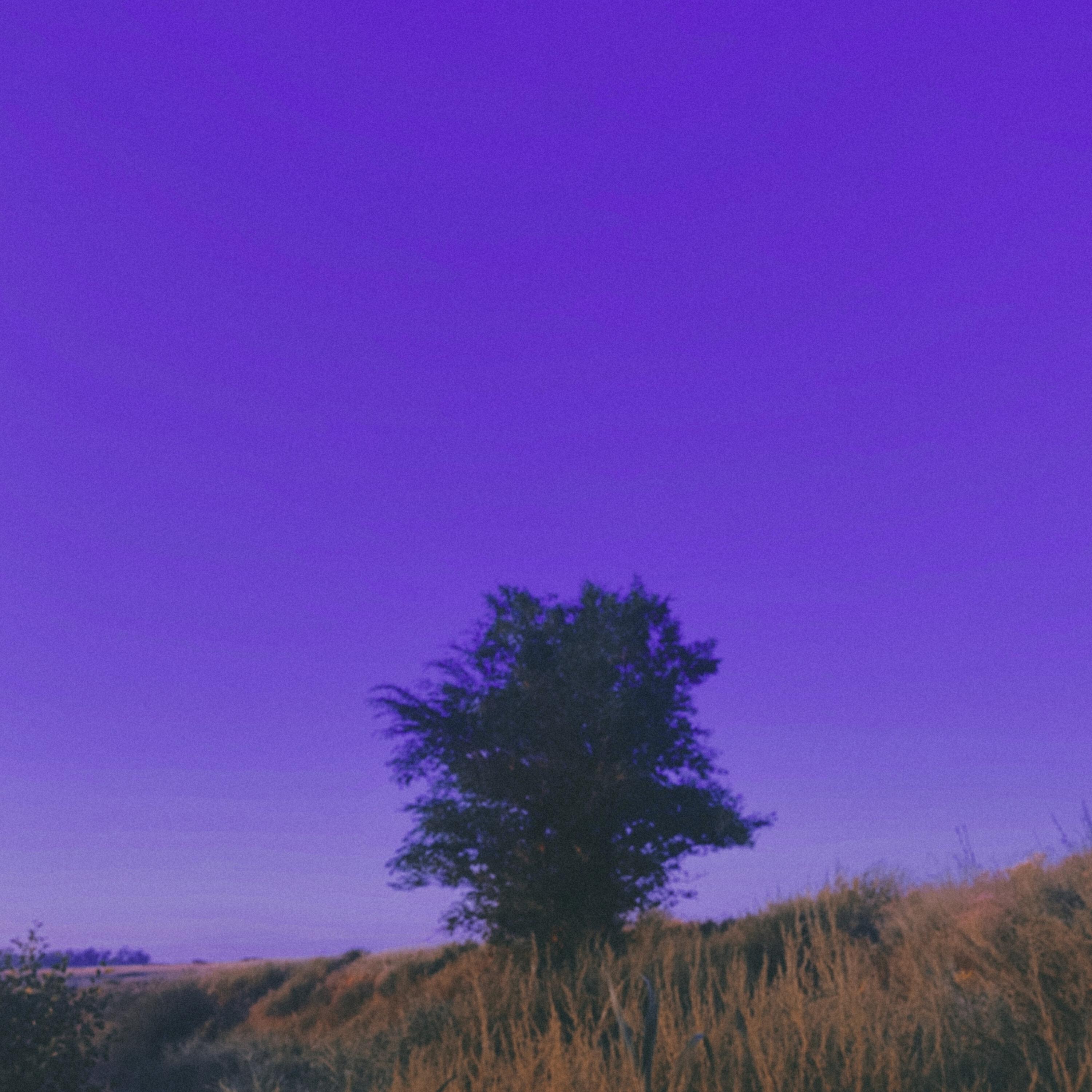 Релиз Calm