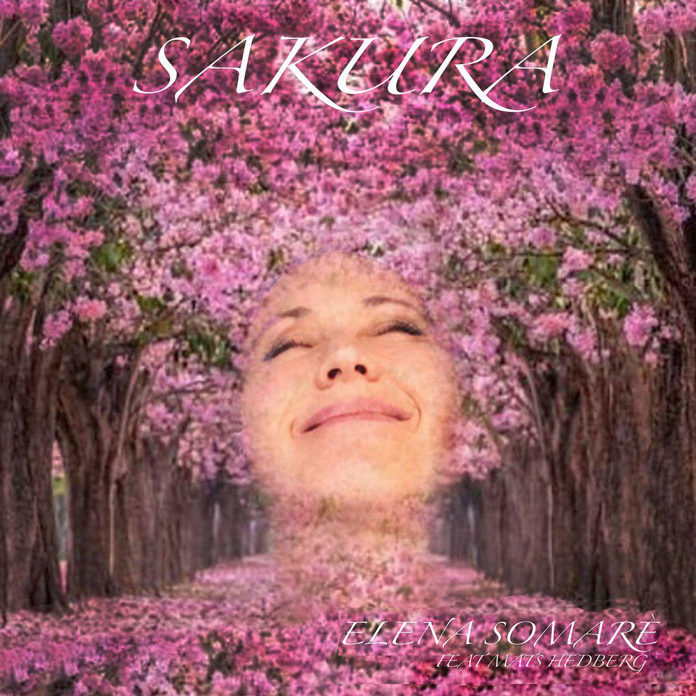 Релиз Sakura