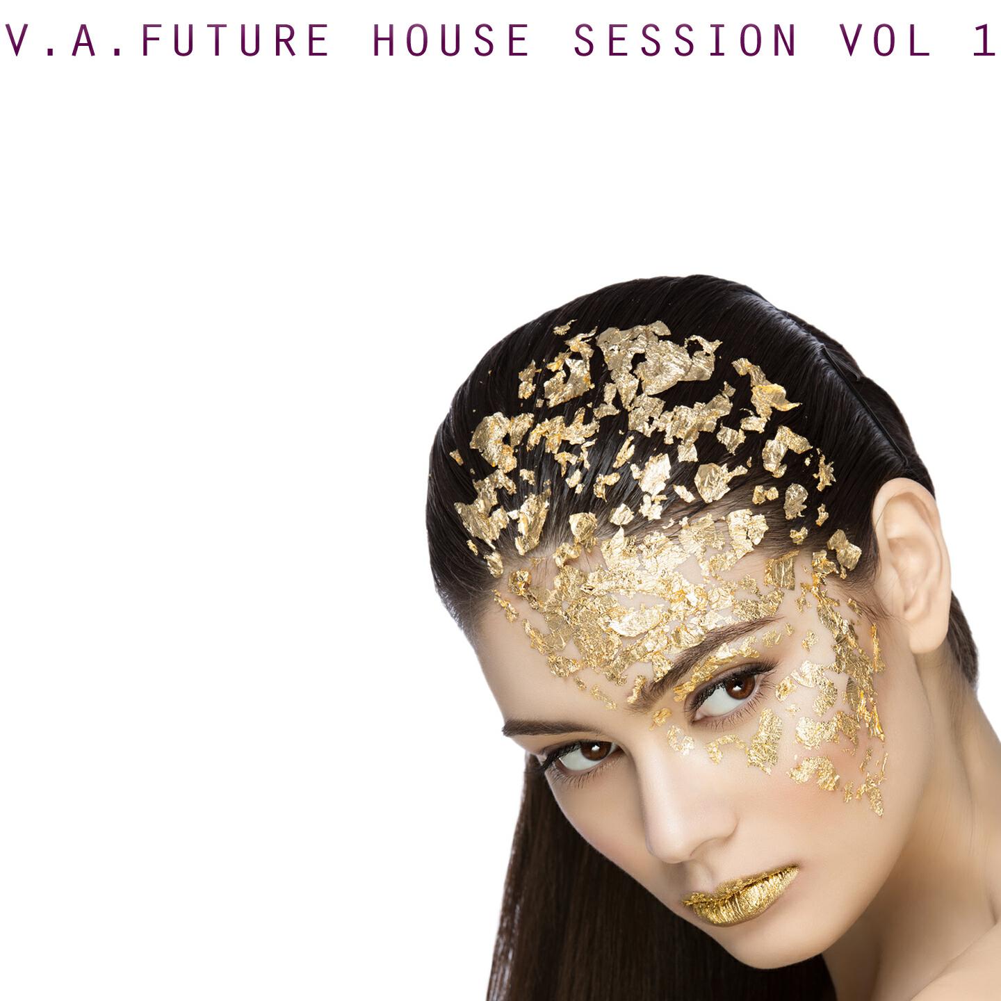 Постер альбома V.A. Future House Session, Vol. 1