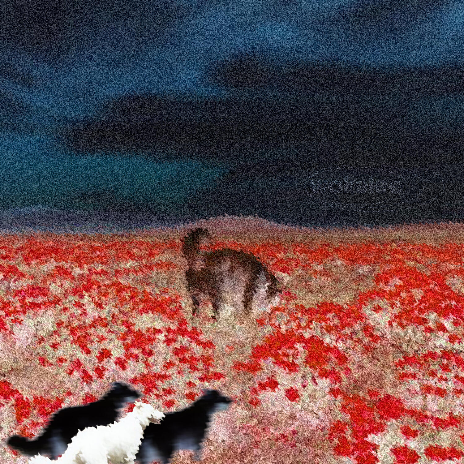 Релиз Doghouse