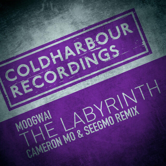 Релиз The Labyrinth (Cameron Mo & Seegmo Remix)