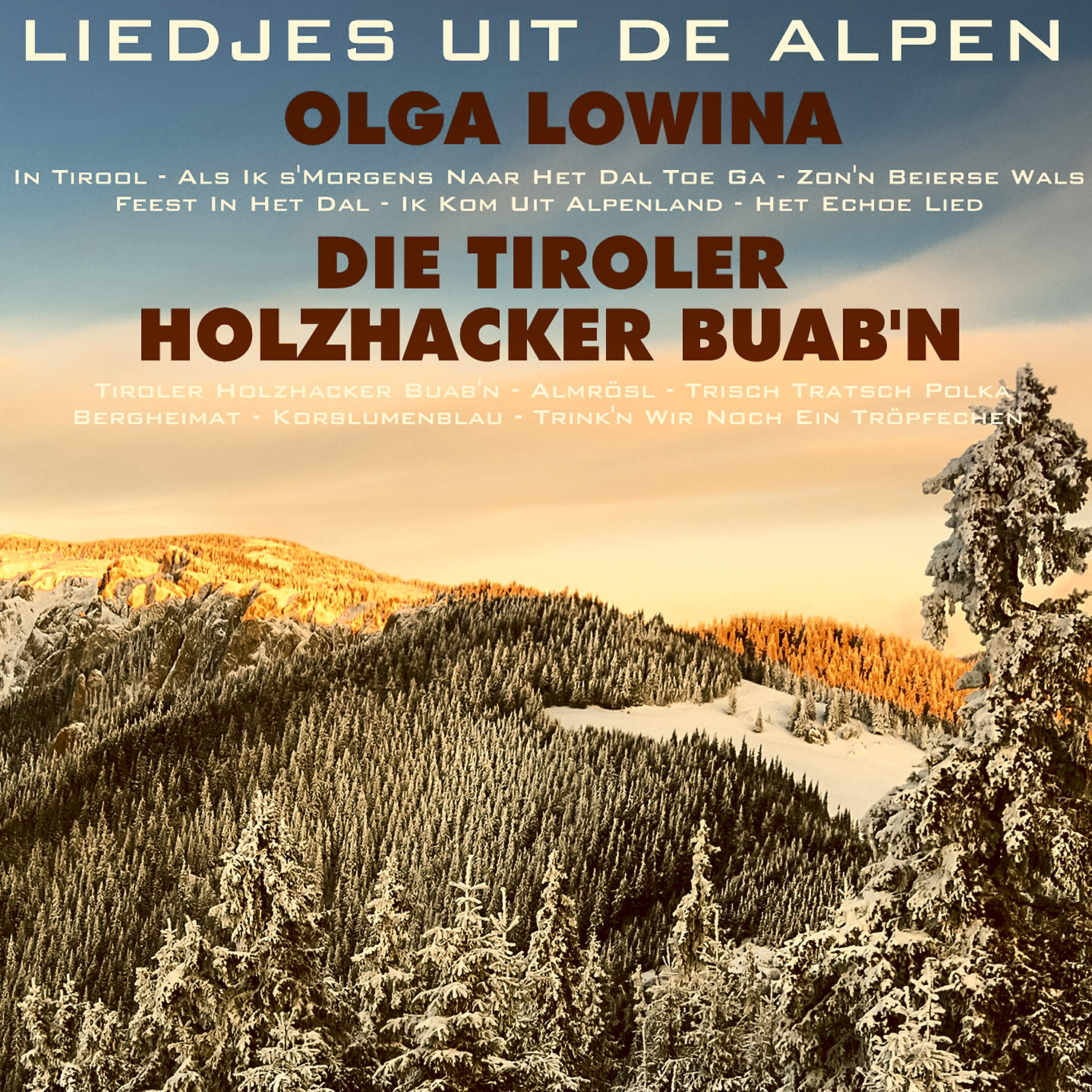 Die Tiroler Holzhacker Buab'n