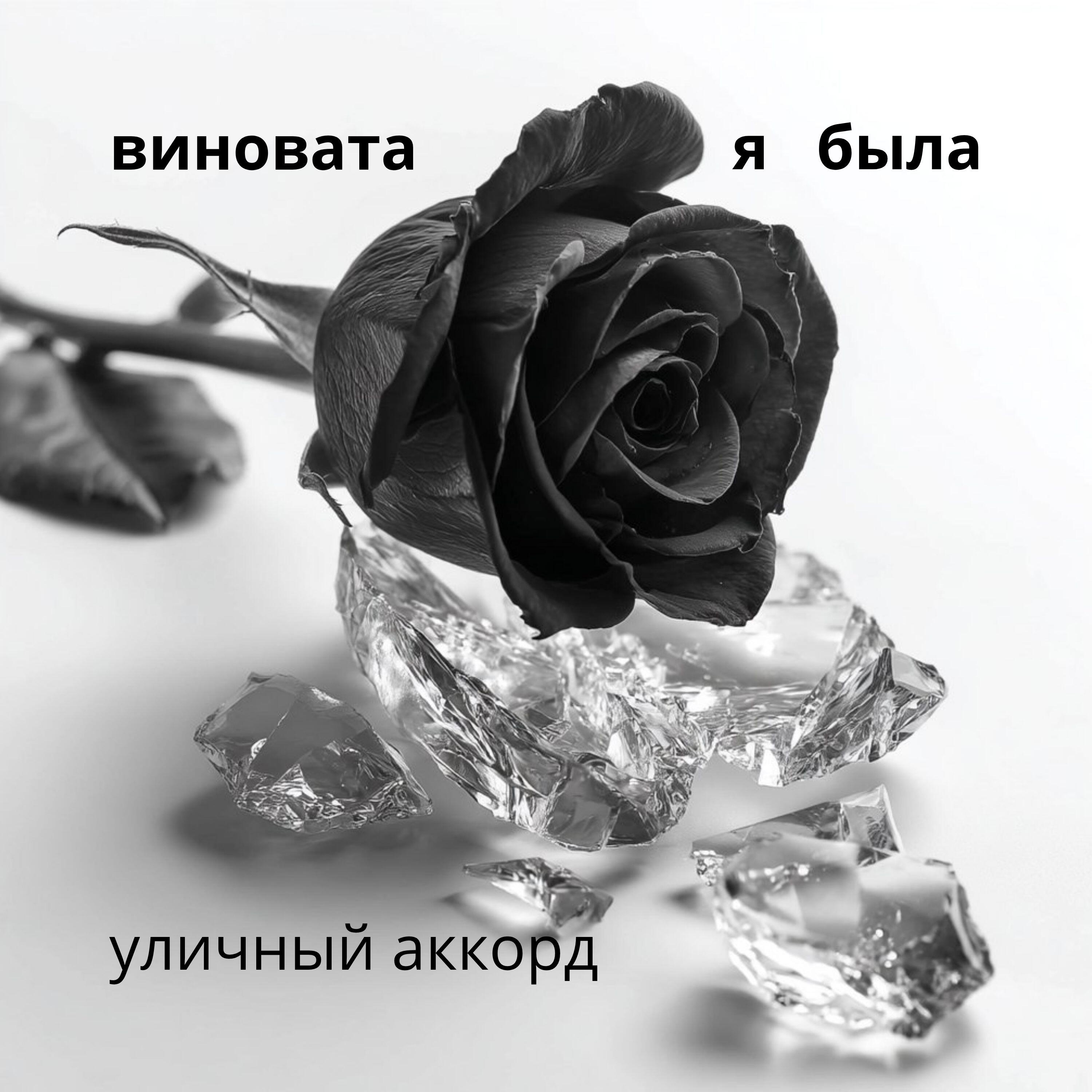 Релиз виновата я была