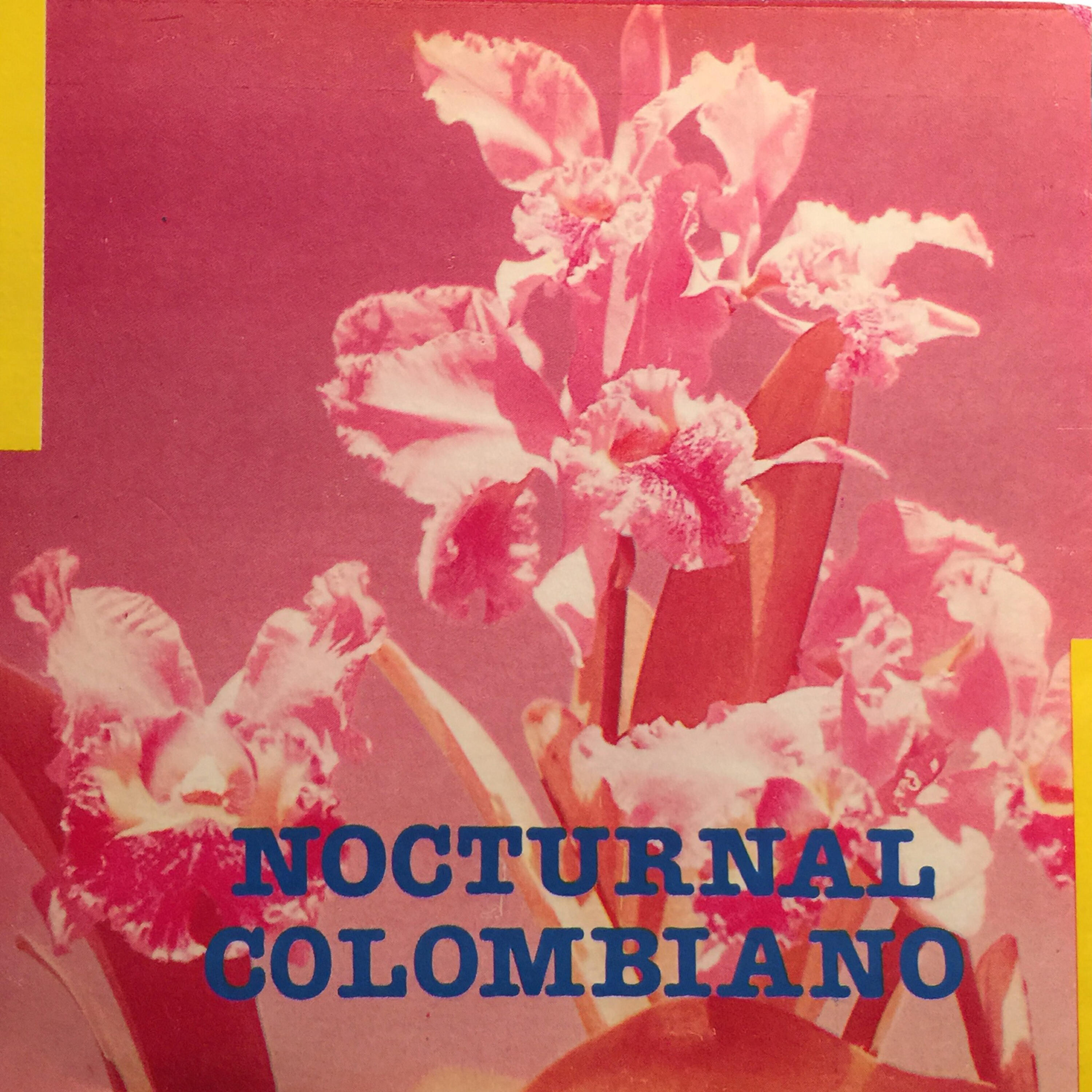Релиз Nocturnal Colombiano (Instrumental)