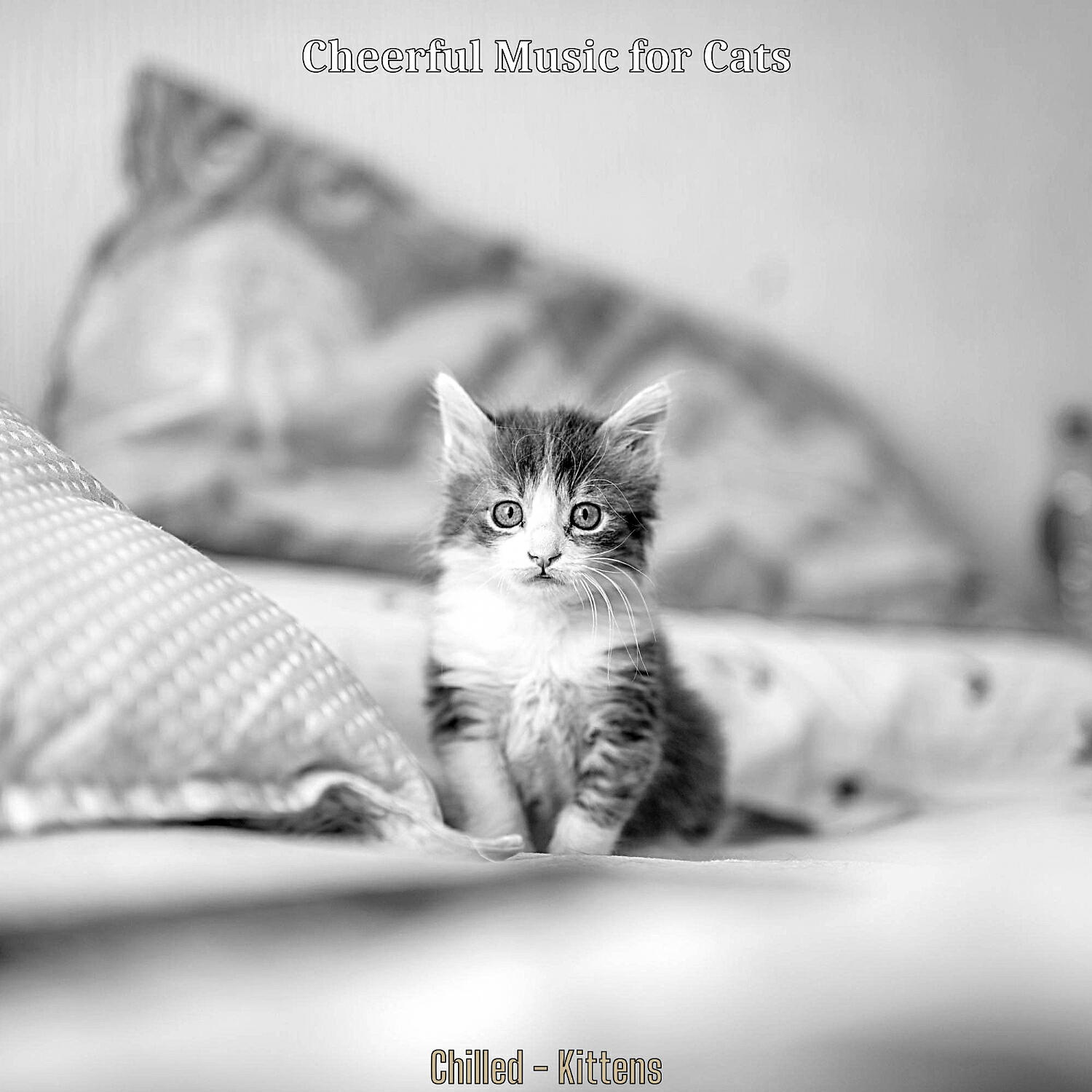 Cheerful Music for Cats