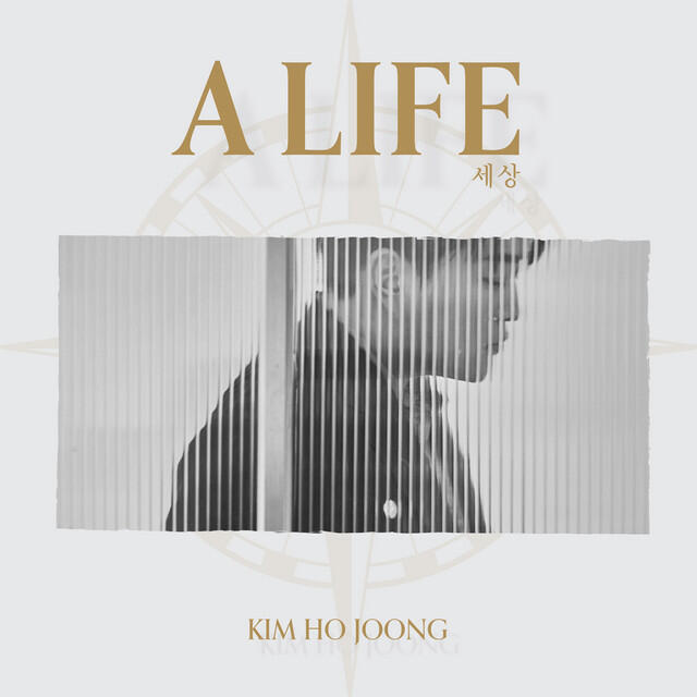 Релиз A LIFE