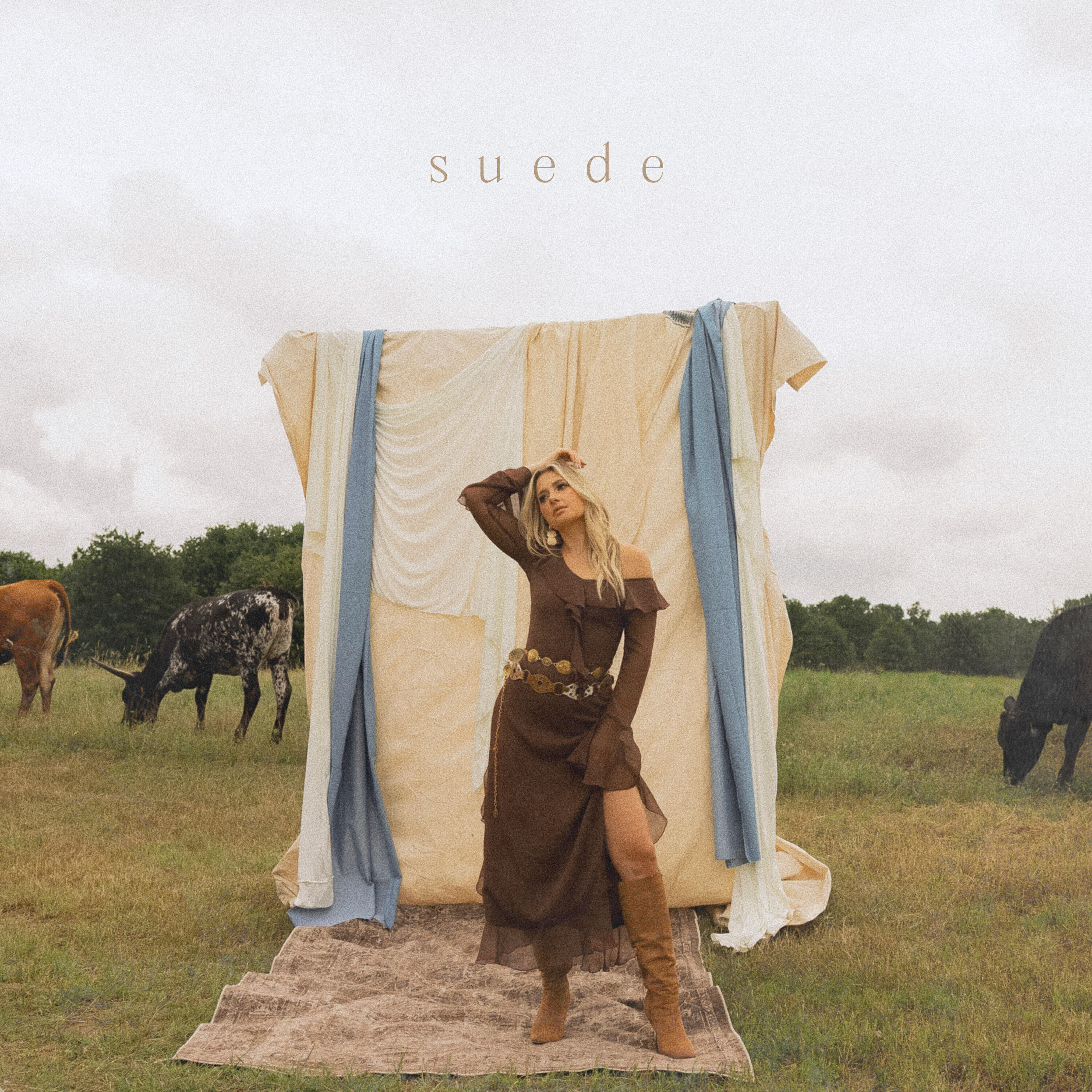 Релиз Suede