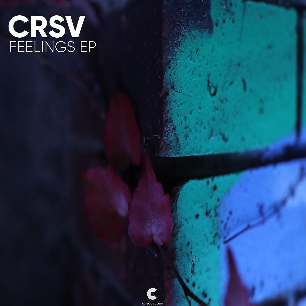 Постер альбома Feelings EP